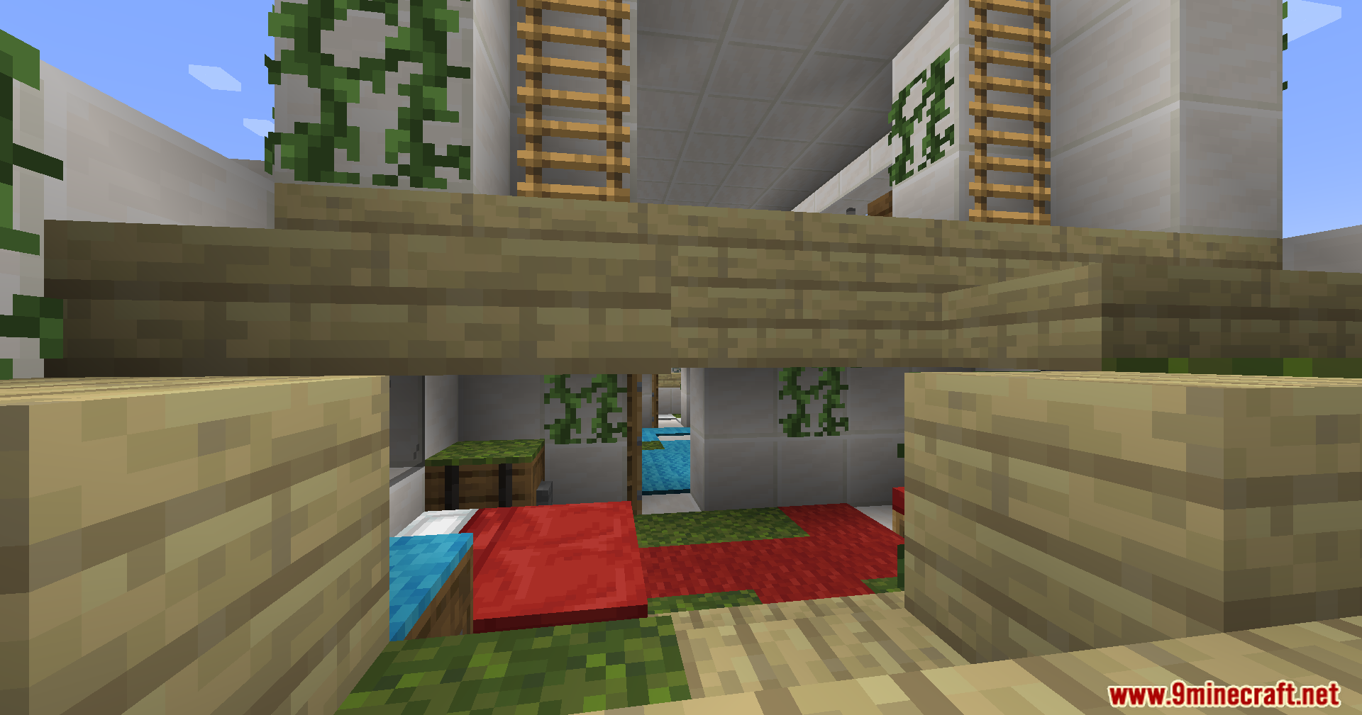 A view into the sleeping quarters of the abandoned boat