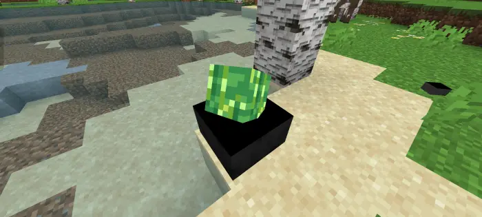 Green textured block placed on a black pedestal near water