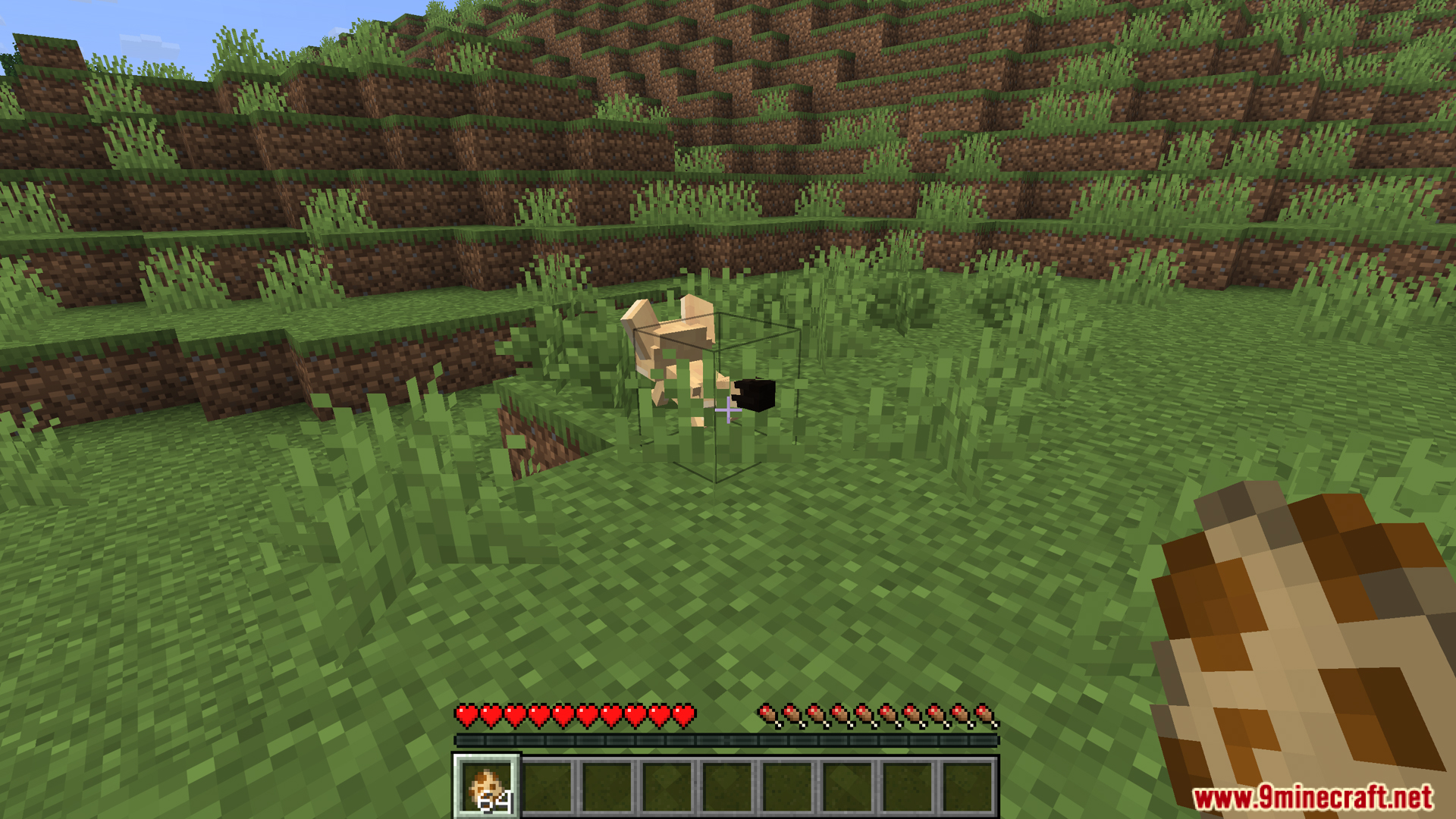 Player holding a spawn egg near a wild fennec fox