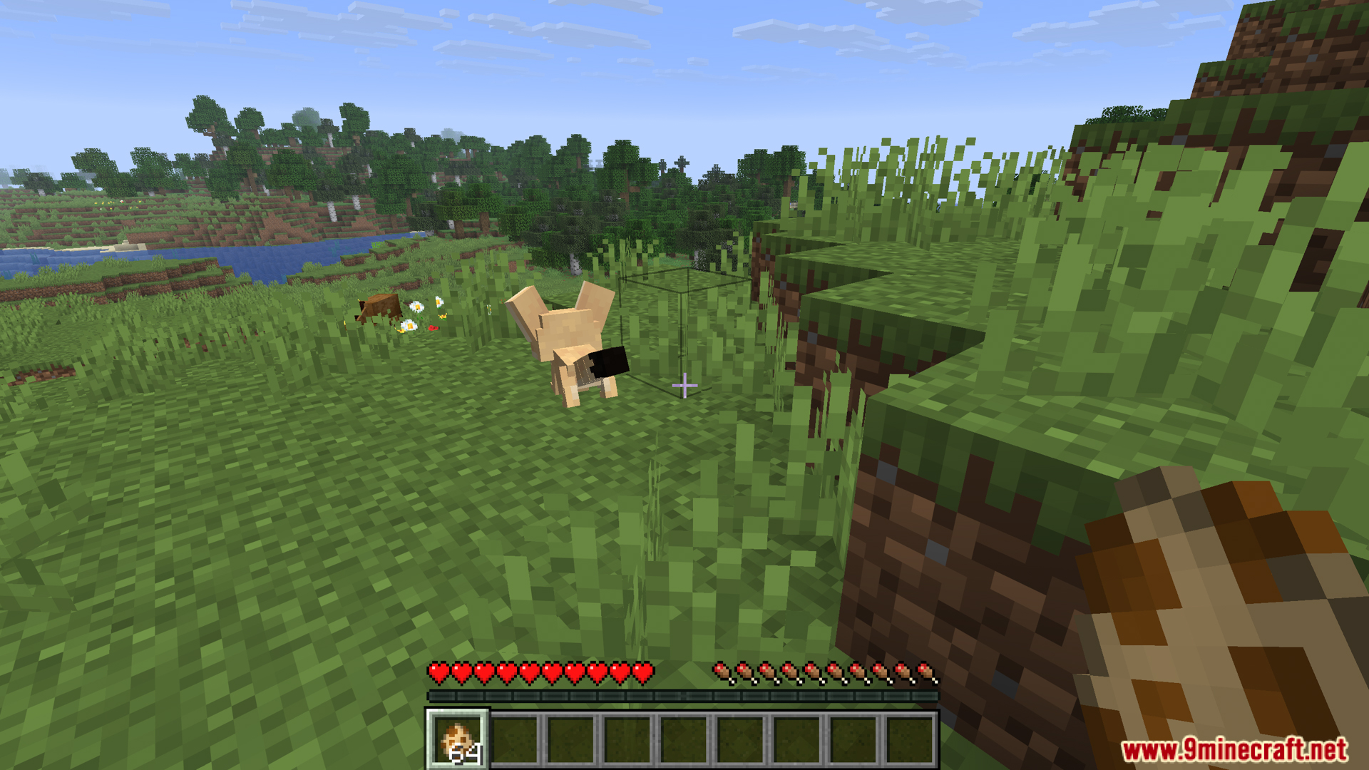Fennec fox running away from the player in grassy biome