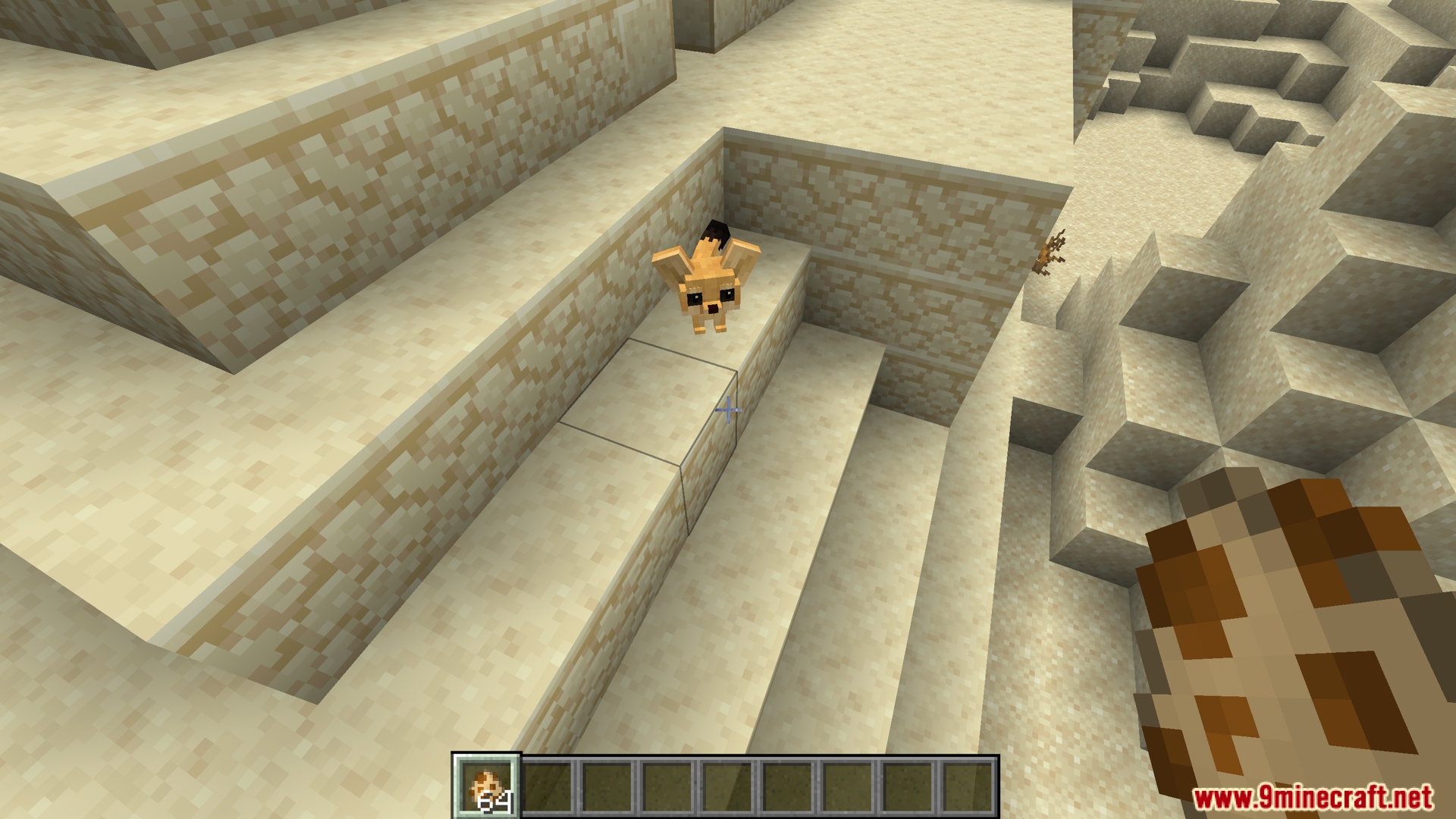 Small fennec fox from Animal Garden Fennec Fox Mod on sand