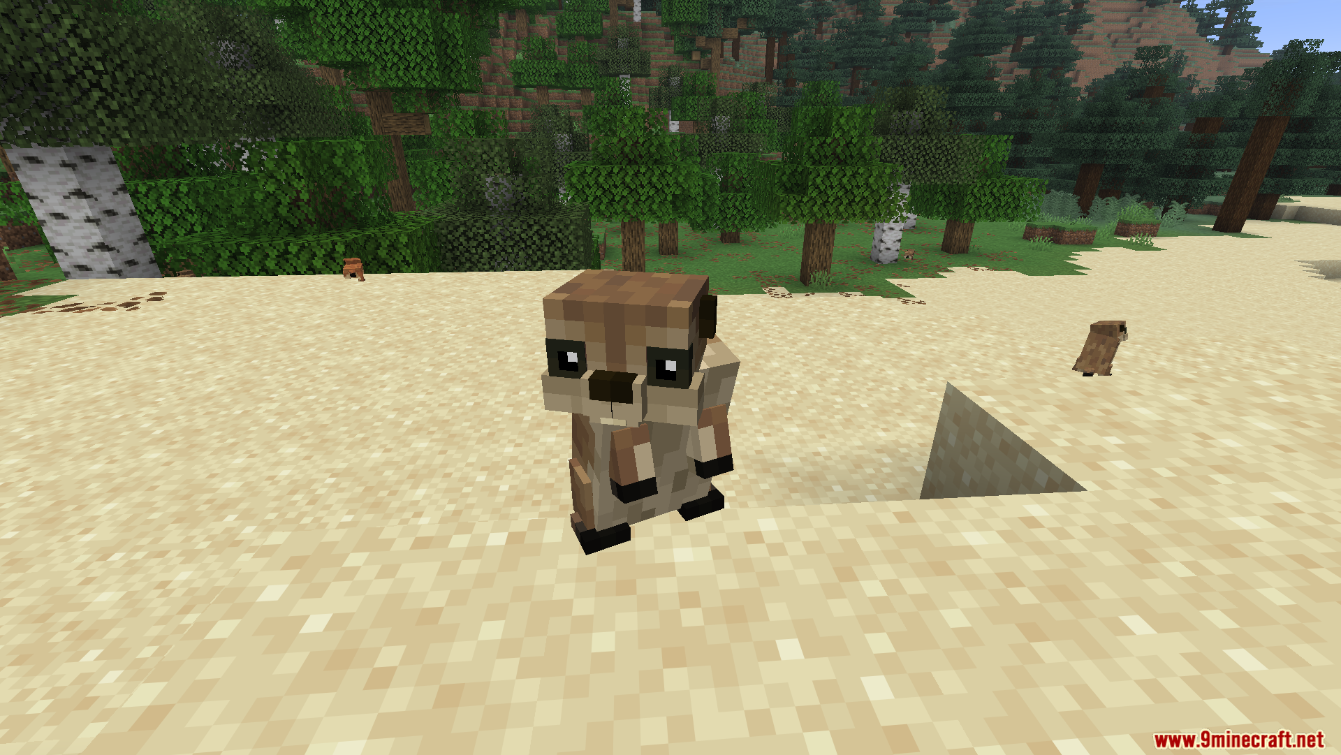 Animal Garden Prairie Dog Mod Screenshot 11 Front face view of a prairie dog from Animal Garden mod