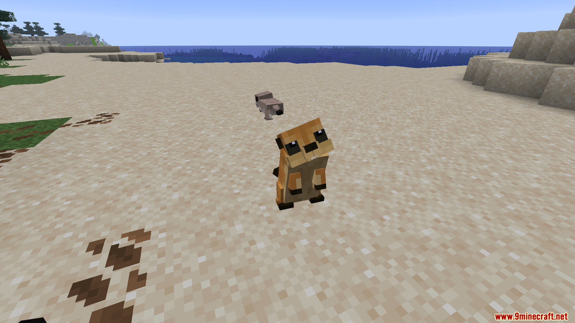 Animal Garden Prairie Dog Mod Screenshot 2 A cute prairie dog standing upright on a sandy beach area