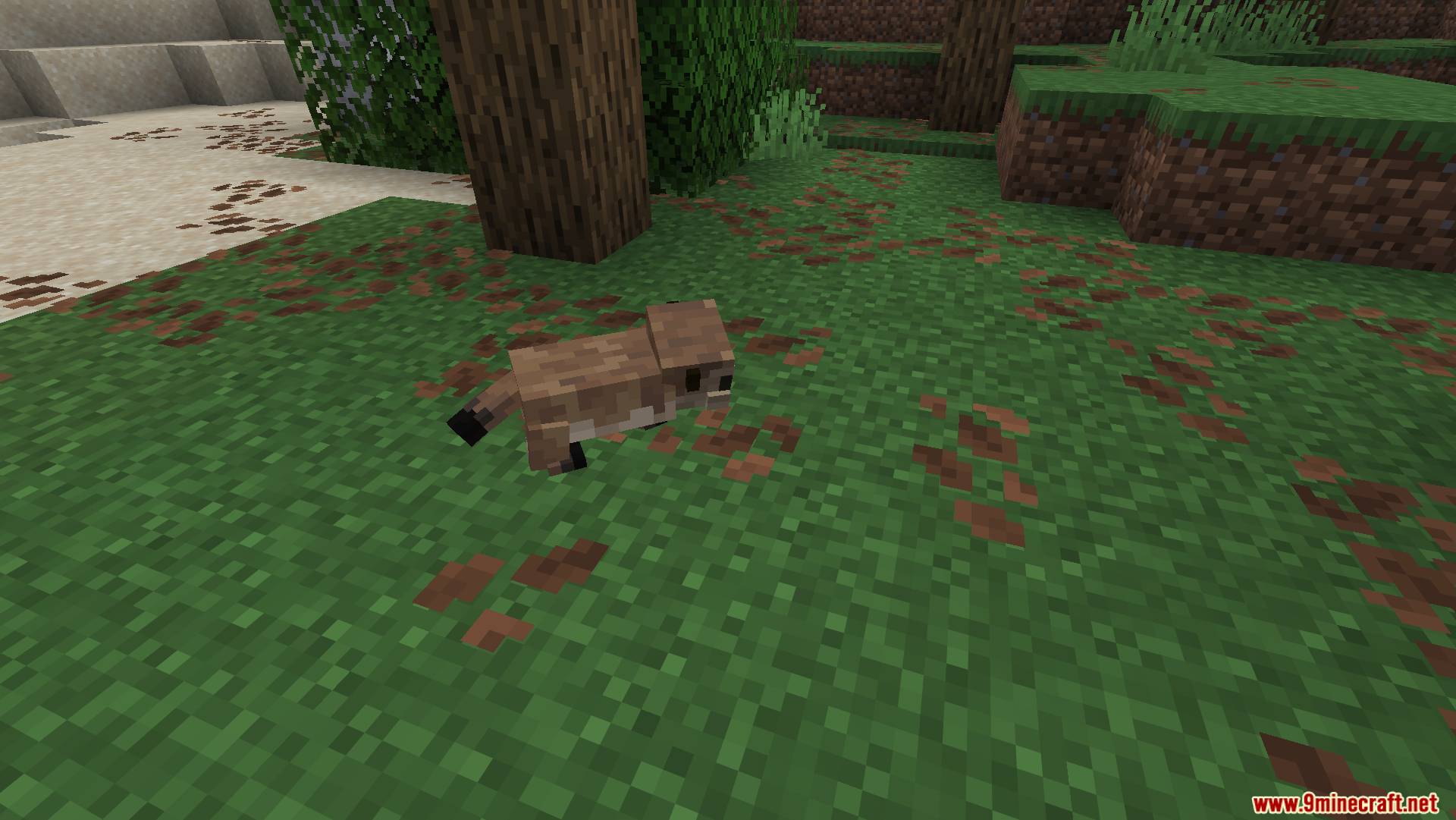 Animal Garden Prairie Dog Mod Screenshot 3 Small prairie dog walking across a grassy area near some trees