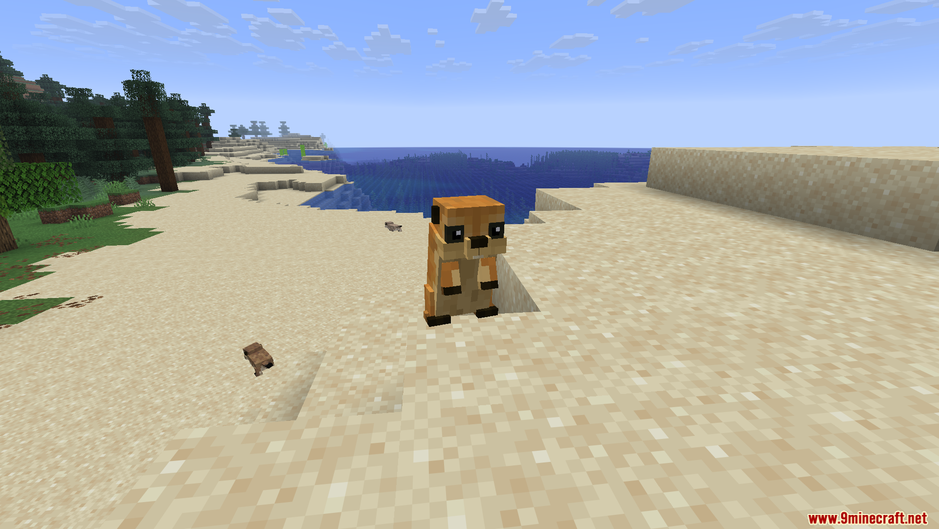 Animal Garden Prairie Dog Mod Screenshot 4 Cute prairie dog standing upright on sand near the blue ocean