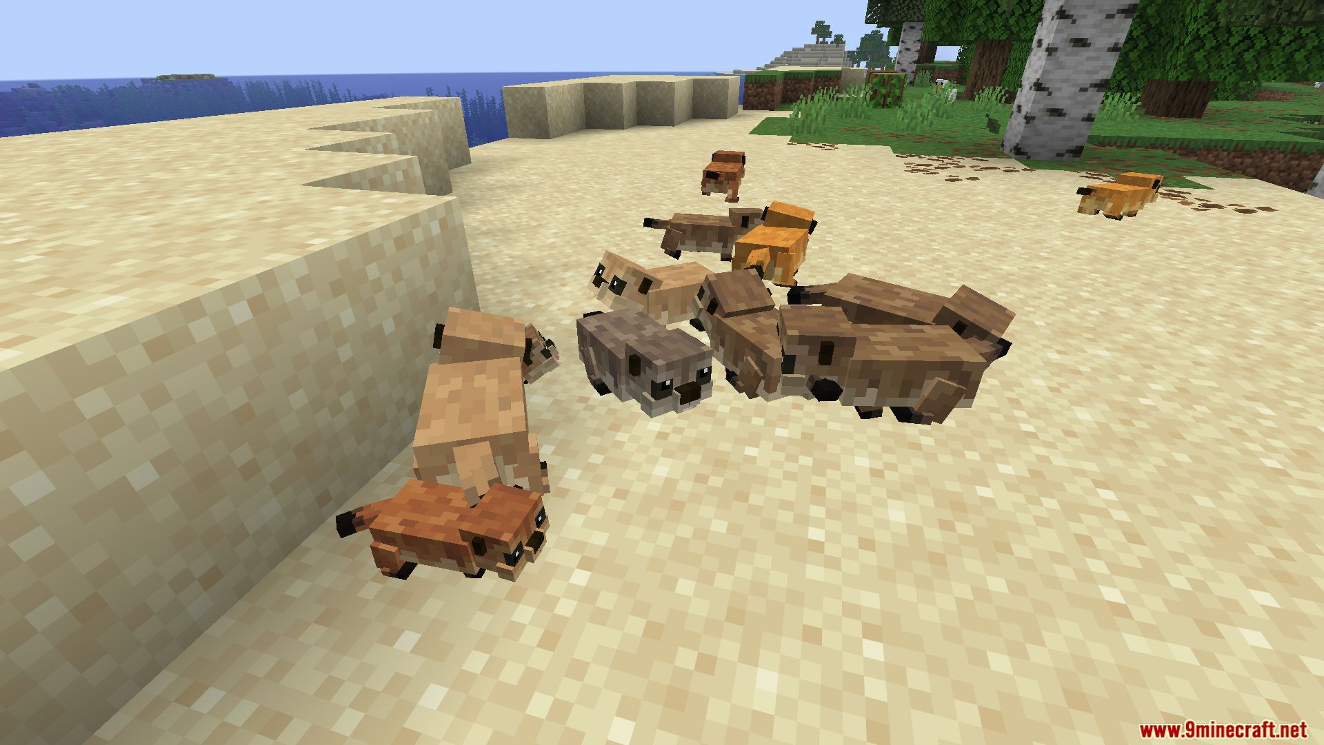 Animal Garden Prairie Dog Mod Screenshot 6 A large group of colorful prairie dogs gathered on the sand