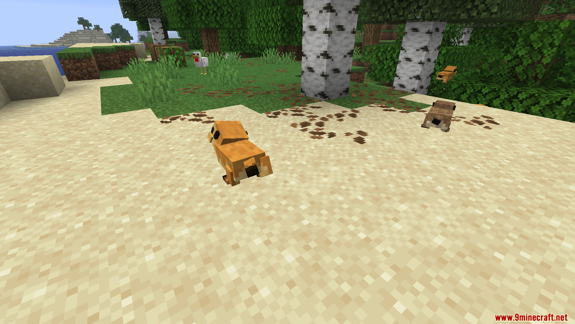 Animal Garden Prairie Dog Mod Screenshot 8 Two prairie dogs exploring the sandy edge of a birch forest