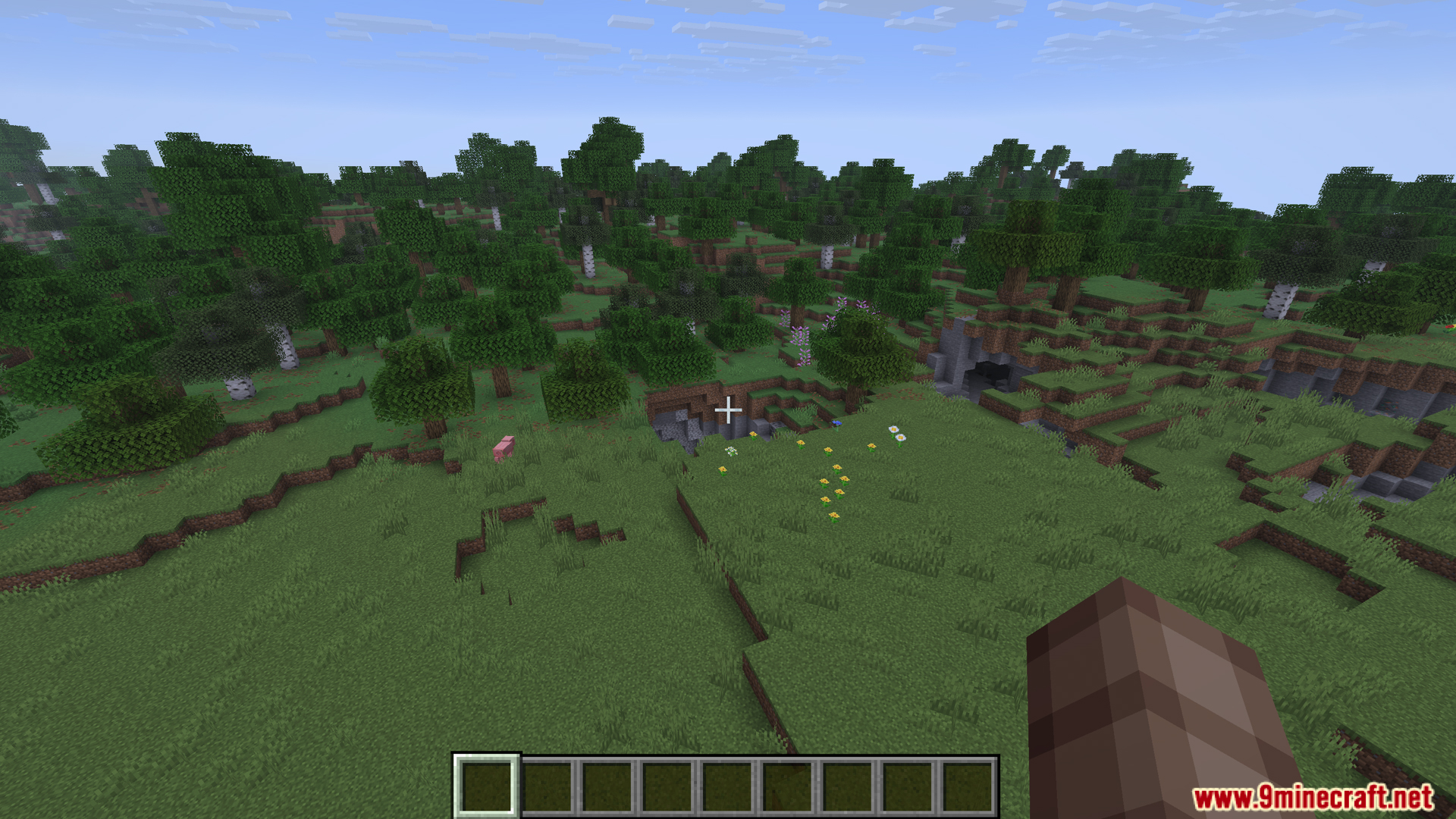 Player viewing a grassy plains and forest landscape area