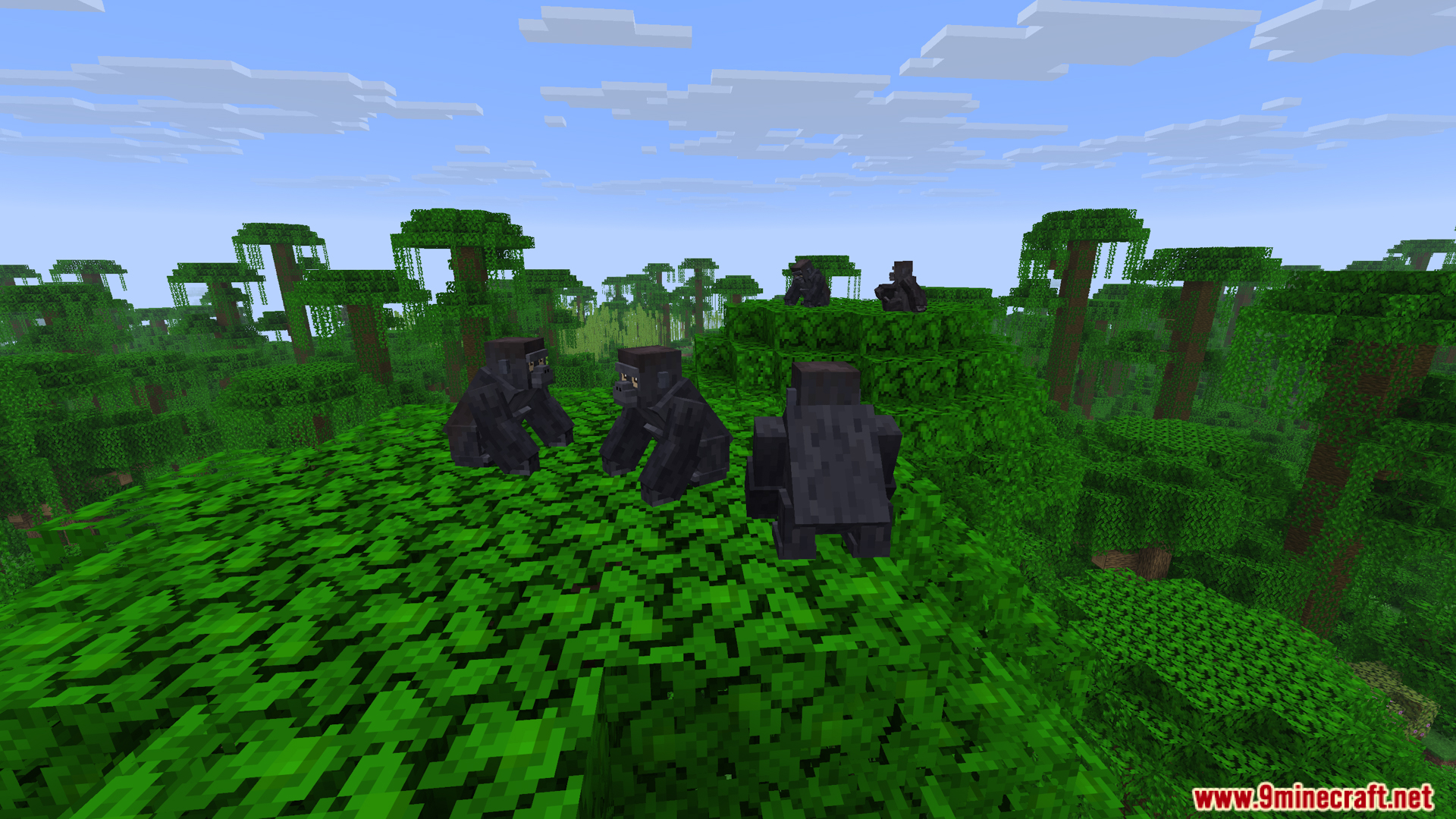 Group of western gorillas resting on jungle tree leaves