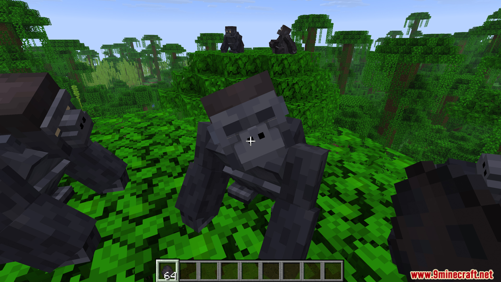 Close up of a wild gorilla in the jungle biome
