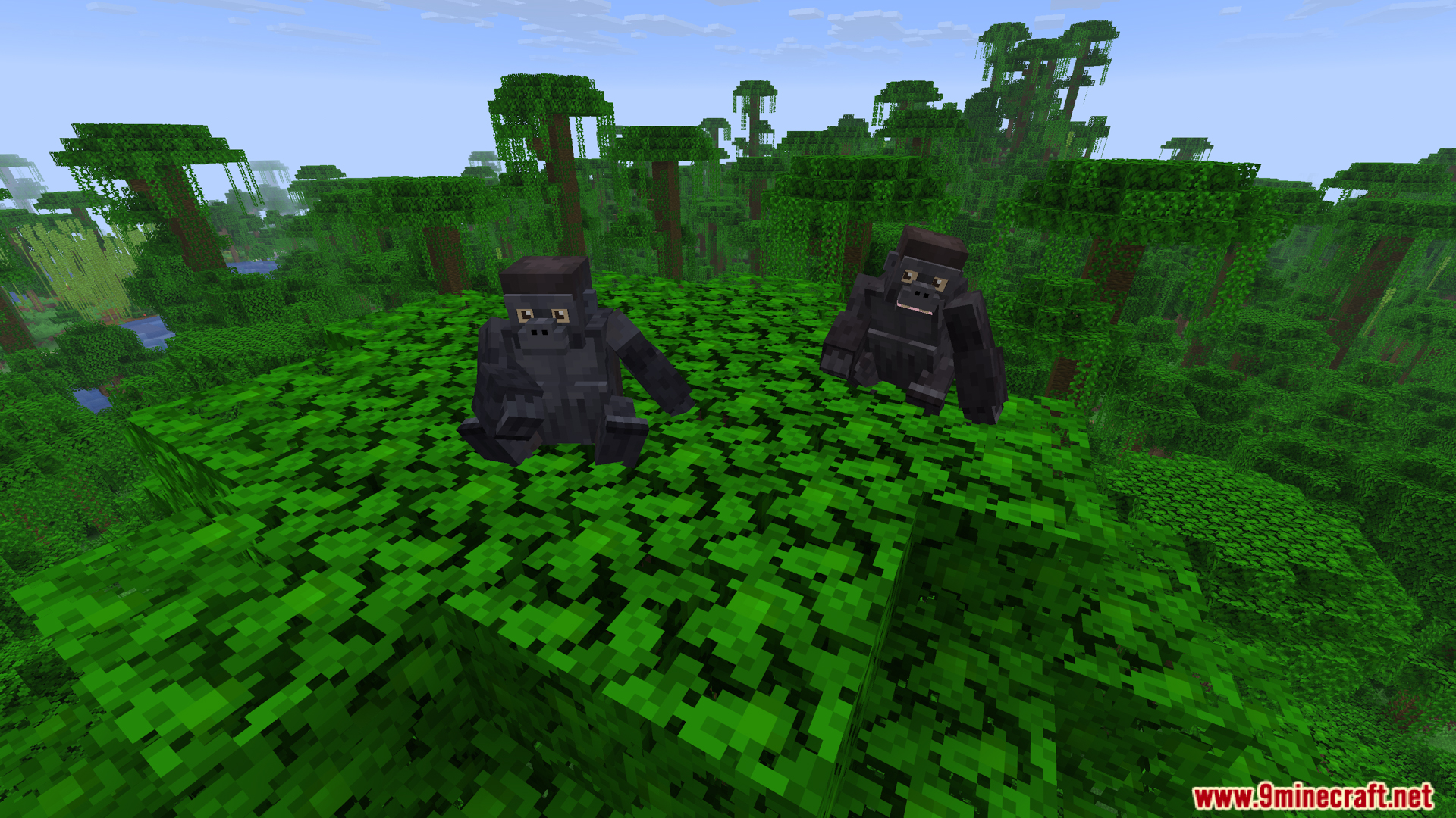 Two gorillas sitting together on leaves in the jungle biome