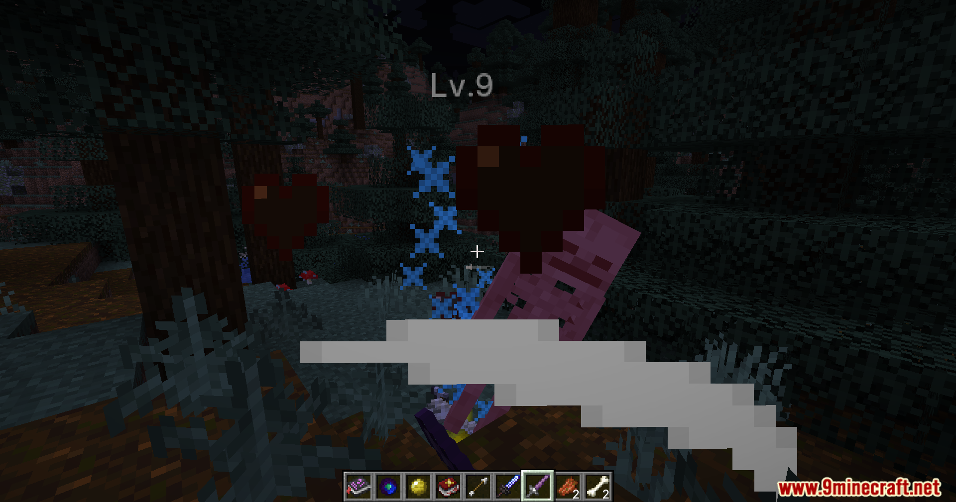 A player fights a level 9 mob in the forest