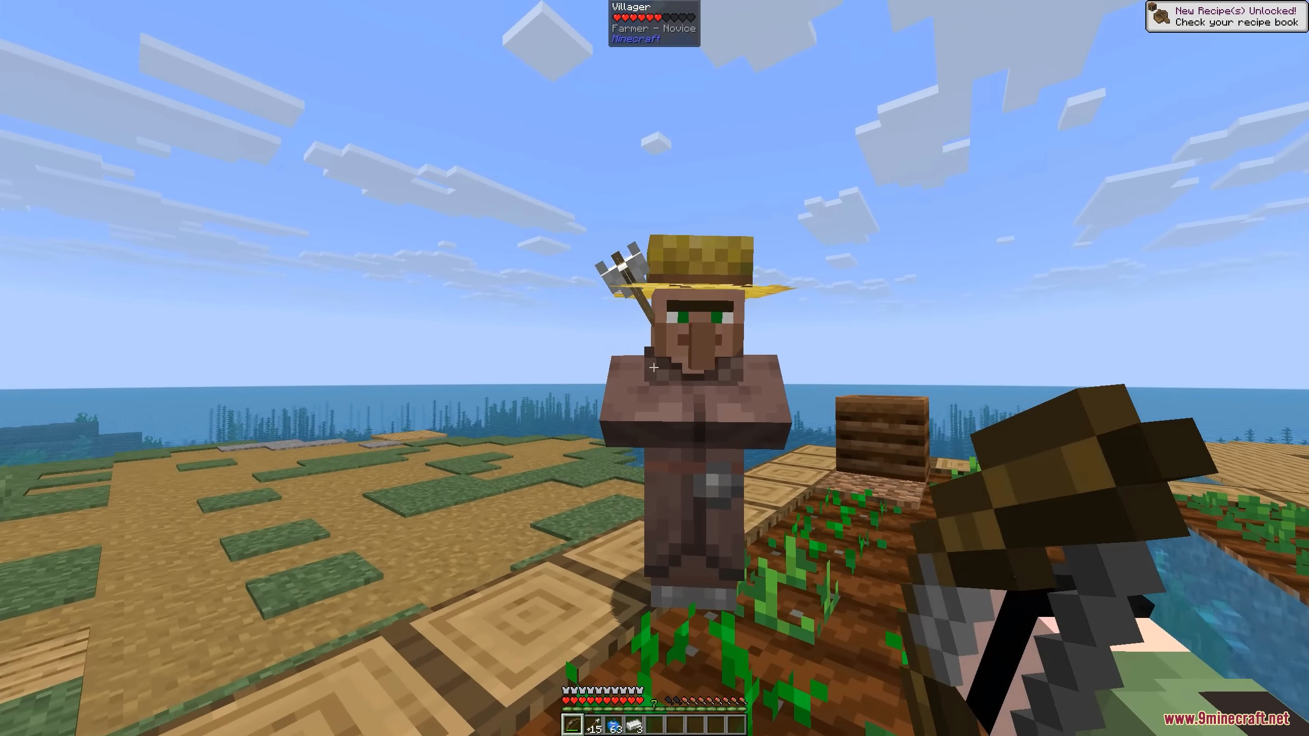Arrow in the Knee Mod shows arrow stuck in farmer villager