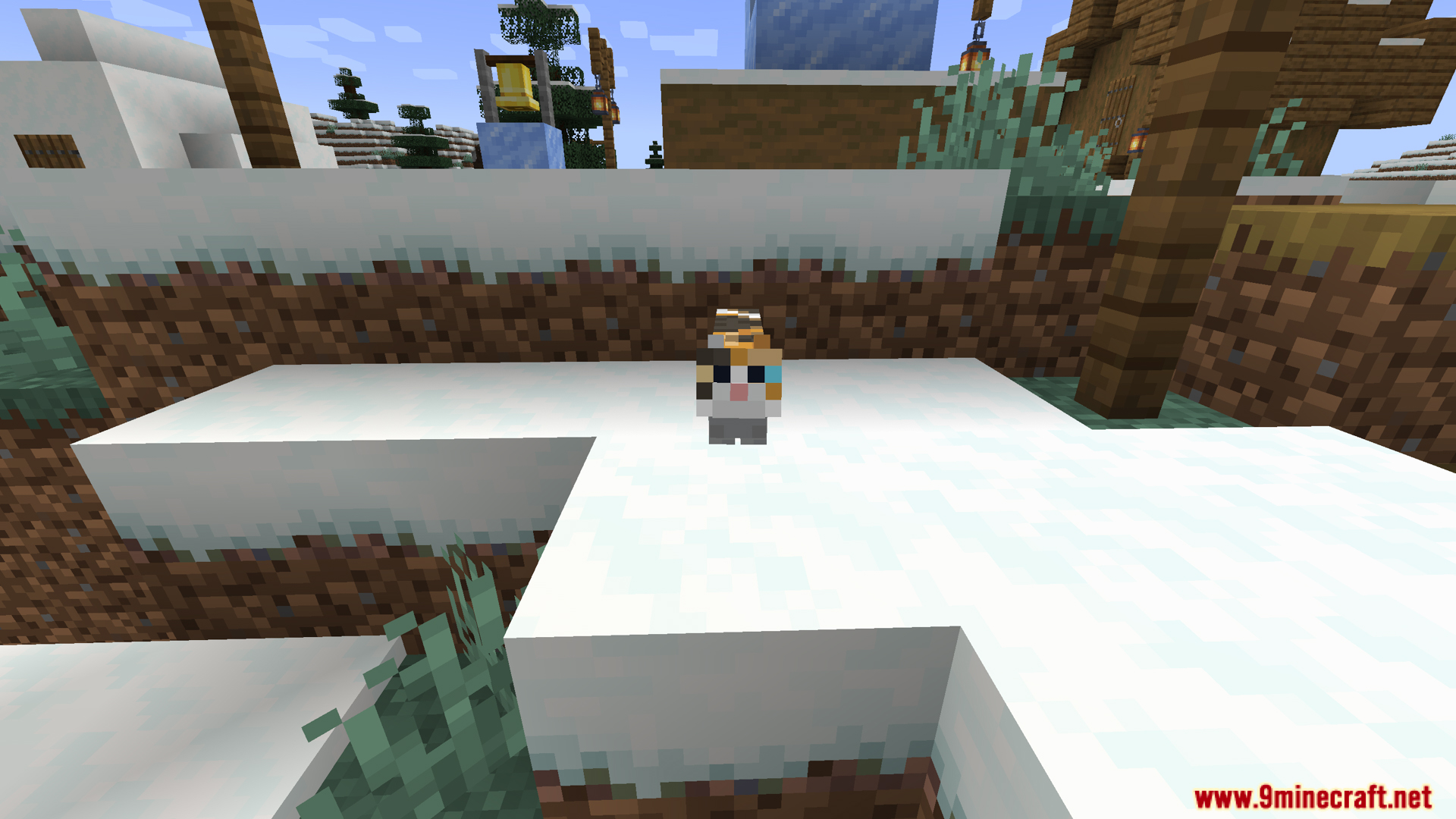 A calico cat sitting on a snow-covered block