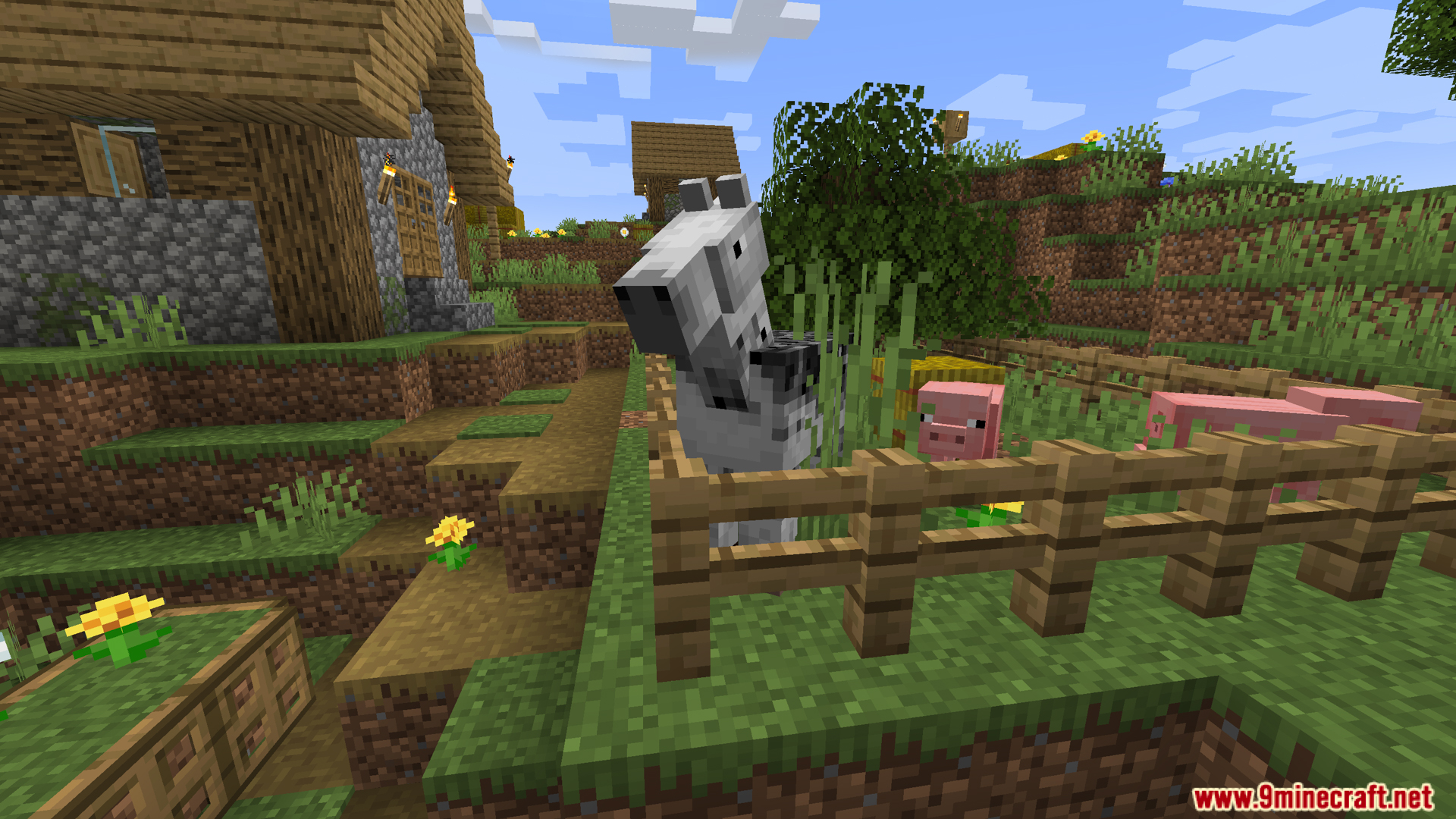 A white horse and a pig inside a wooden fence