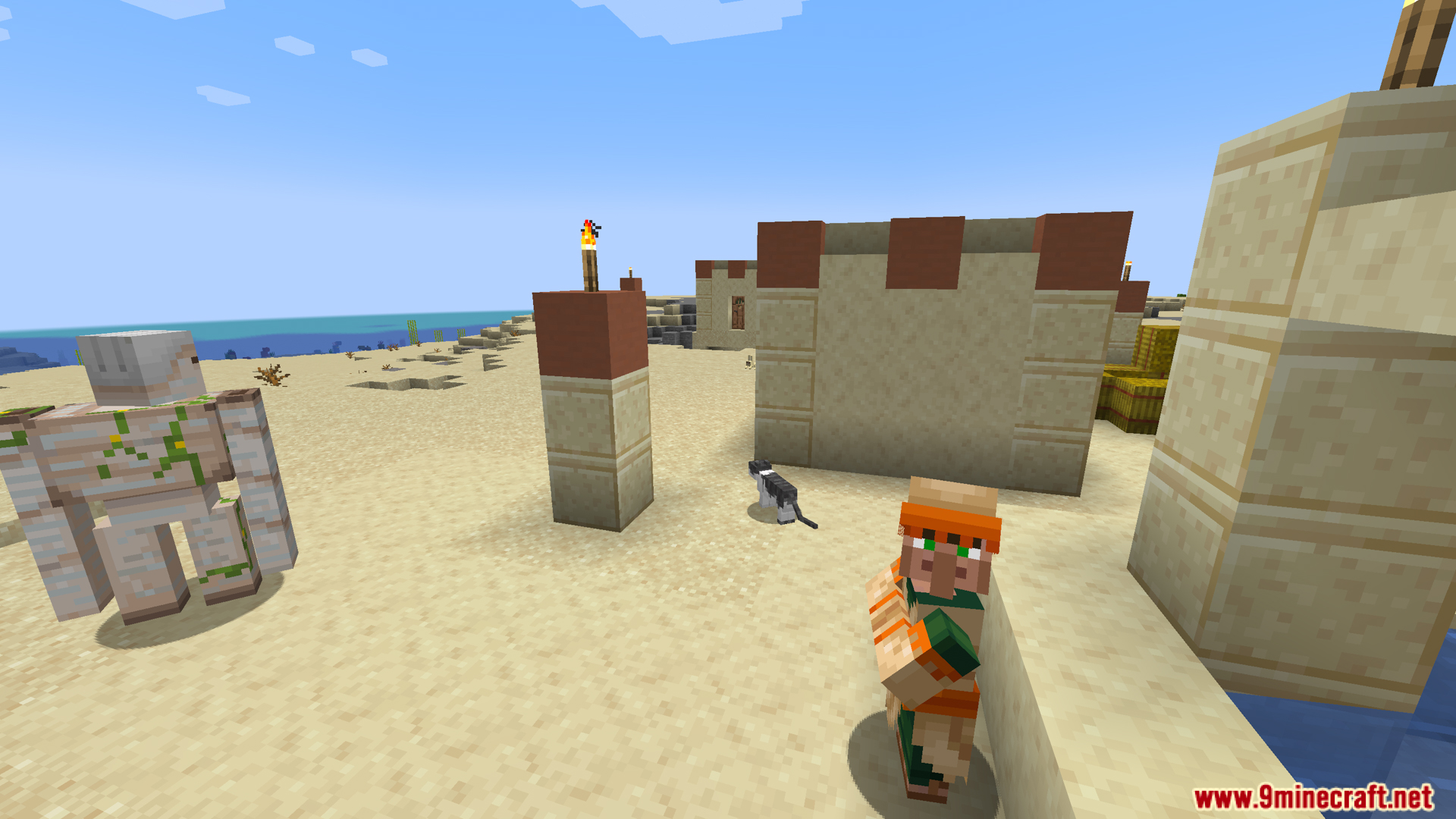 Villager, iron golem, and cat in a desert village