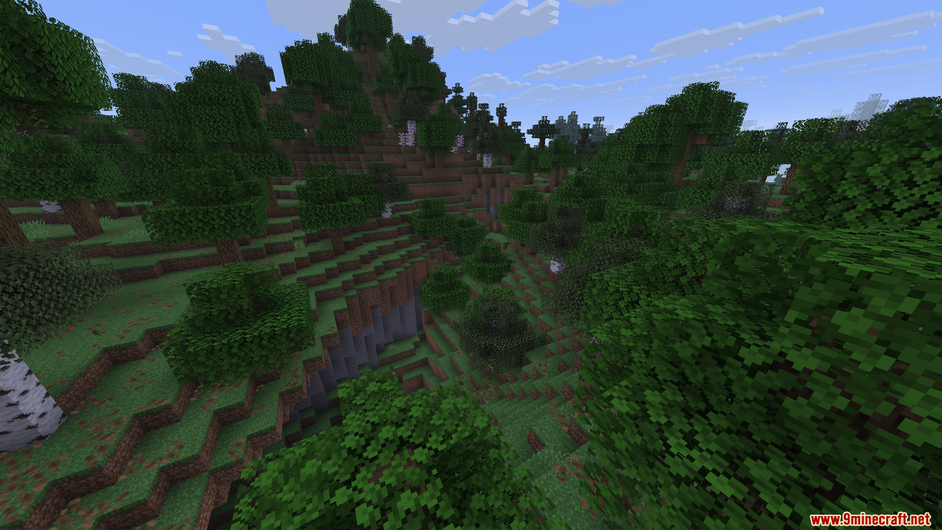 A lush green forest landscape with hills and cliffs