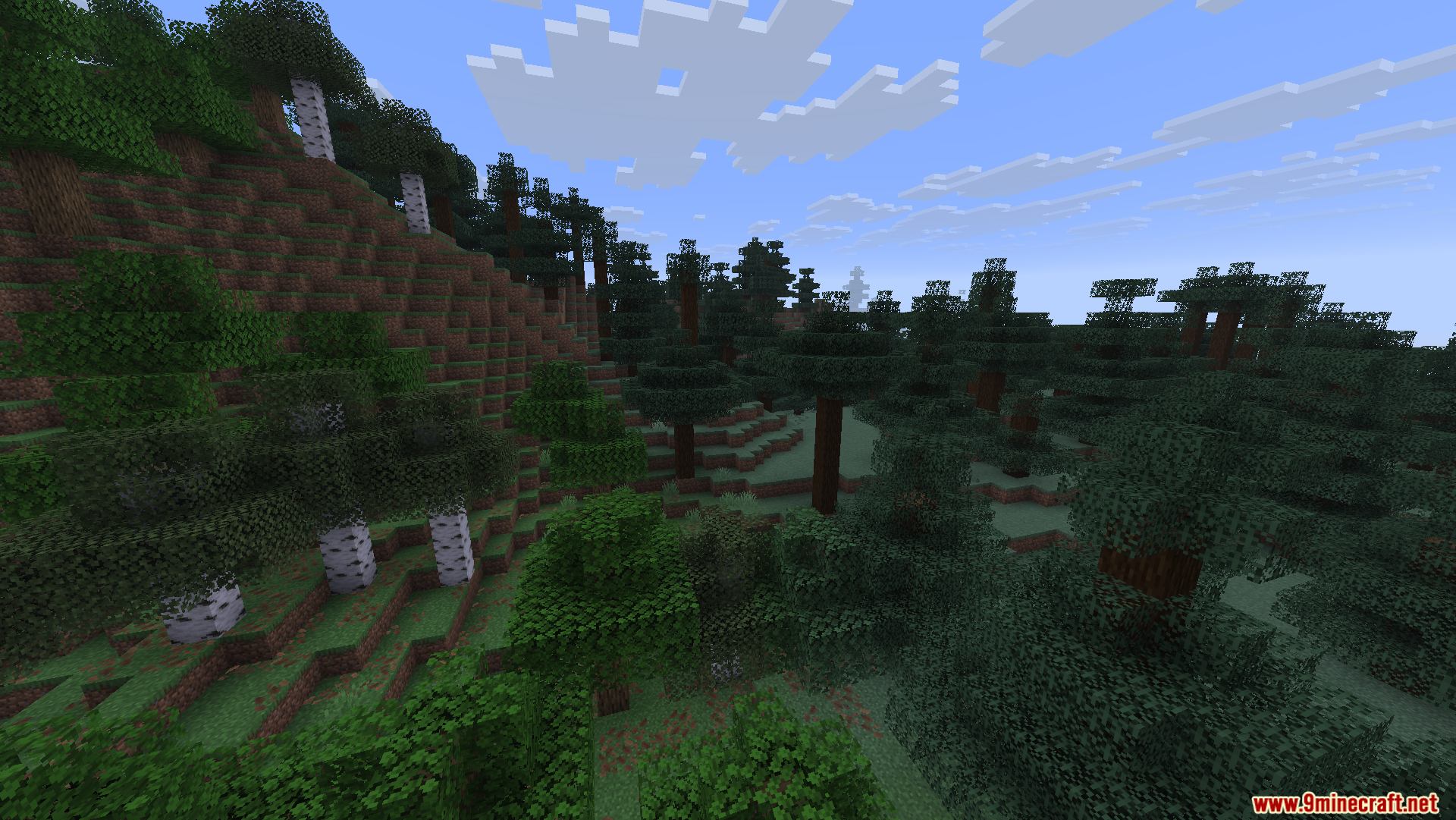 A scenic view of a hilly taiga forest biome