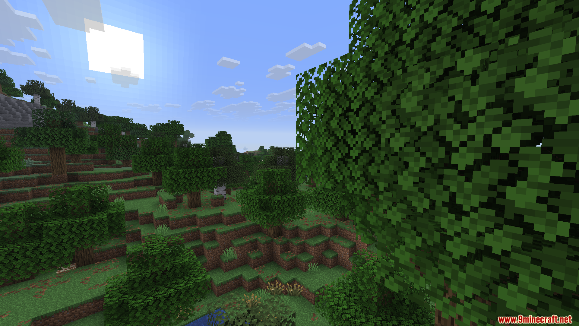 A vast and hilly forest landscape under the sun