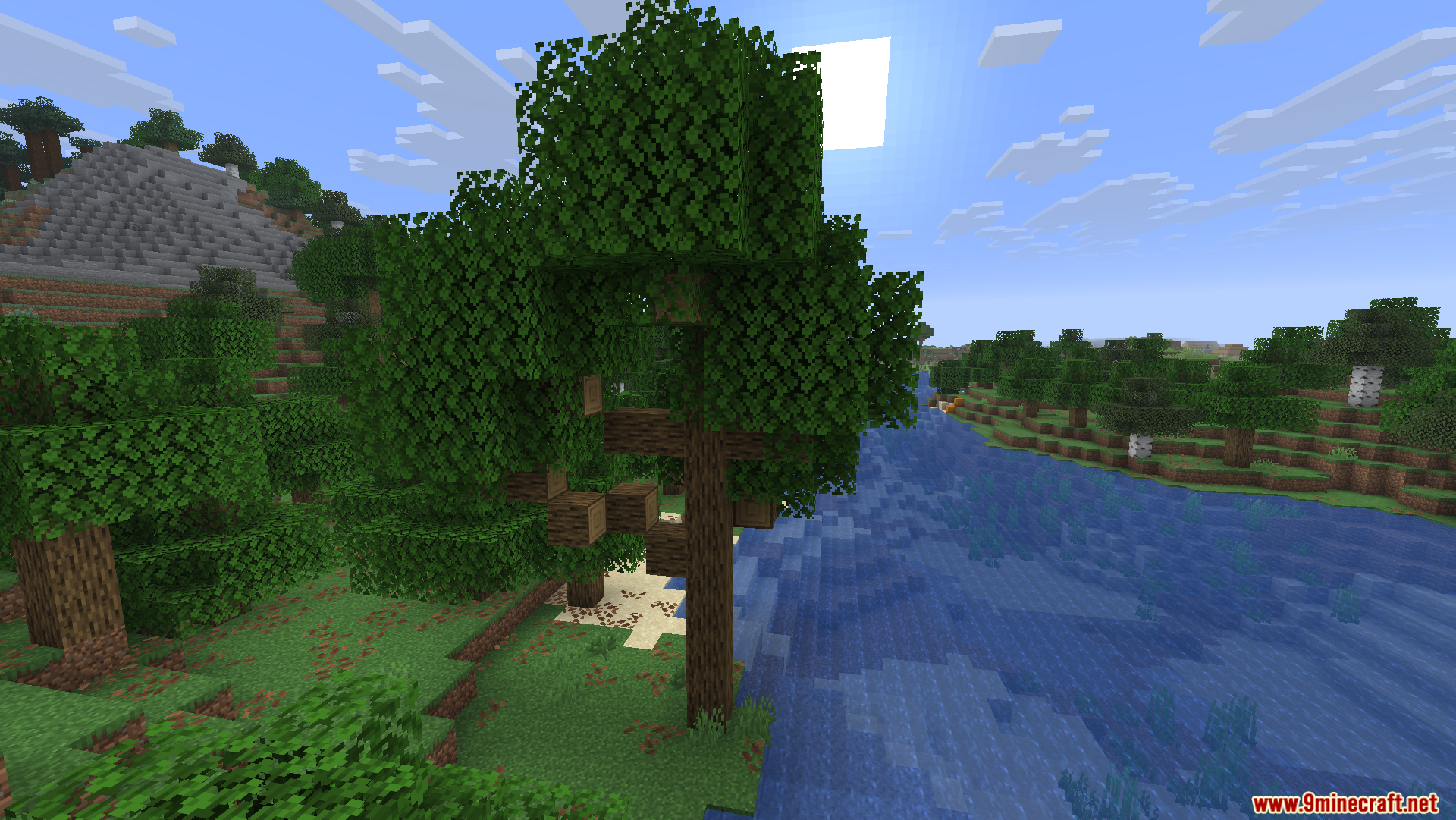 A wide river flowing alongside a lush green forest