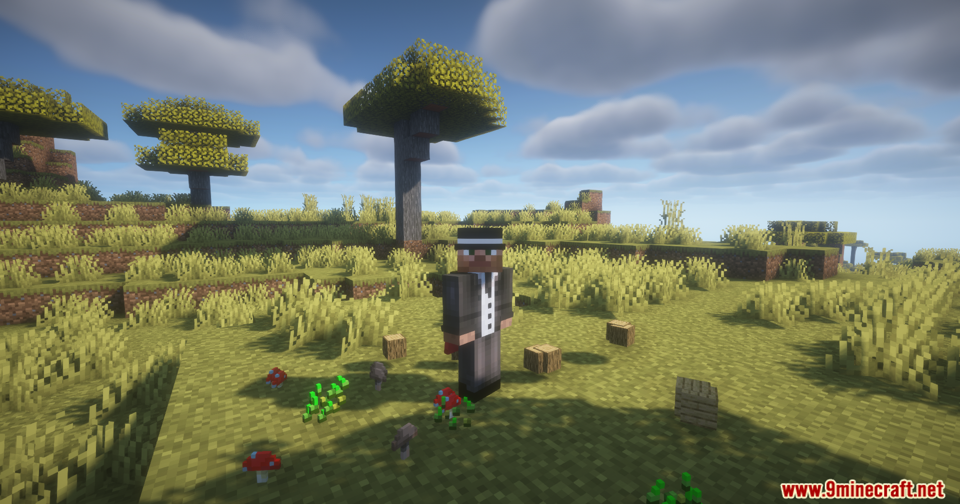 Player demonstrating the Auto Pickup Filter Mod in a field