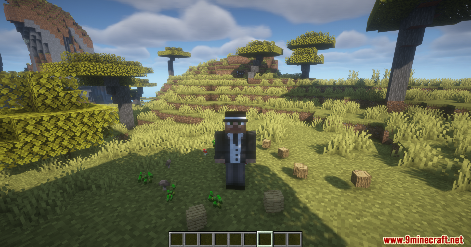 Player standing among dropped wood and saplings without picking them up