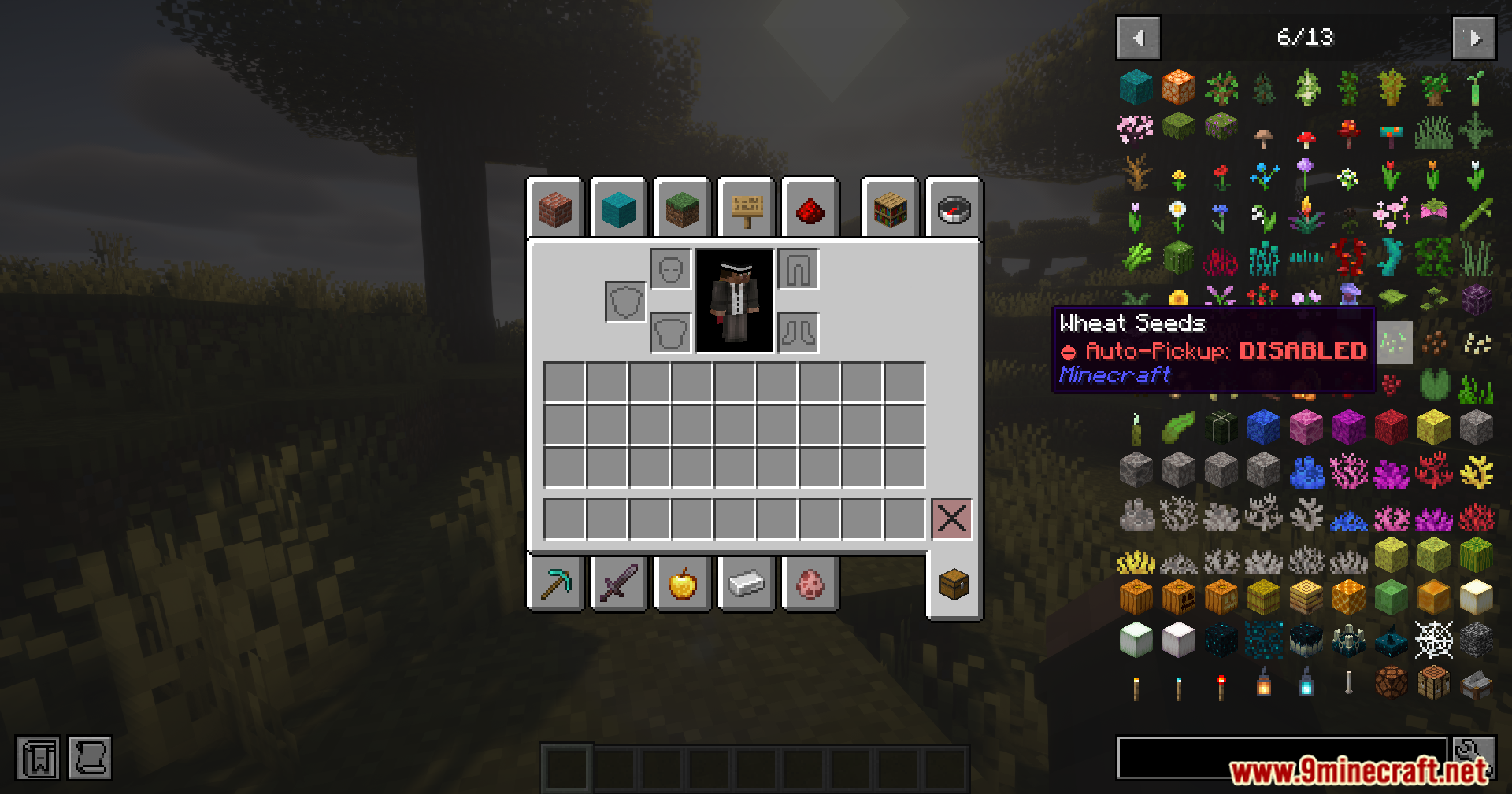 Wheat seeds showing disabled auto pickup status in the inventory