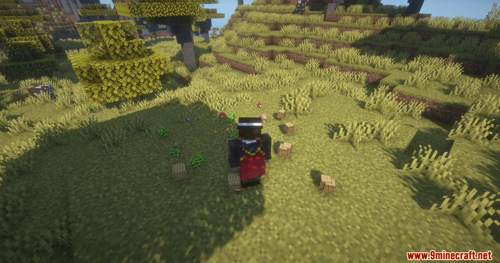 Player standing among dropped items without picking them up