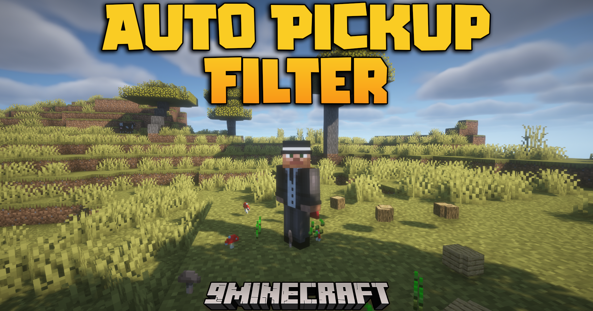 Auto Pickup Filter Mod