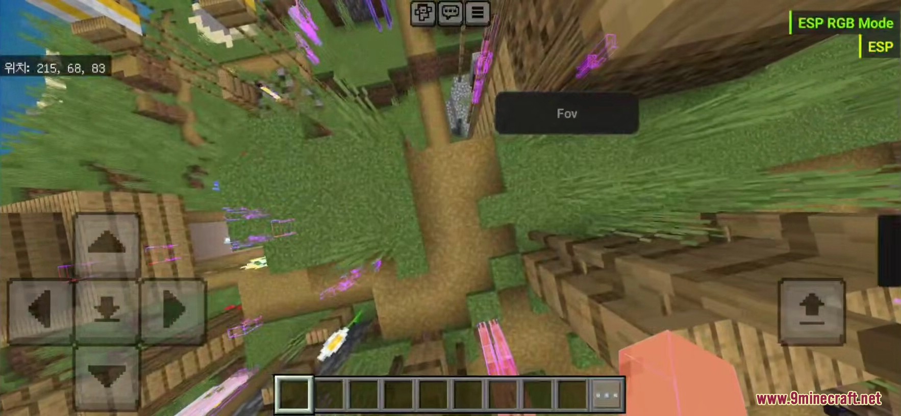 In game view with ESP RGB Mode and ESP active