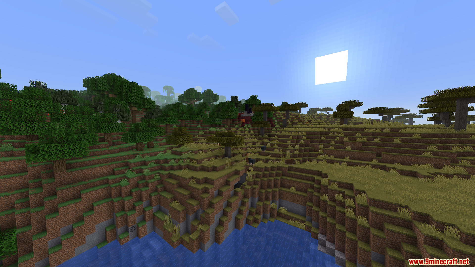 Wide view of a savanna biome next to a large lake