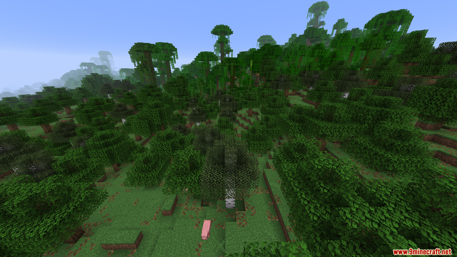 Dense jungle biome featuring tall trees vines and a pink pig