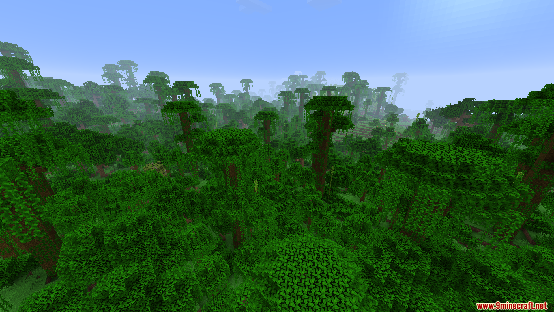 High angle view looking over a thick green jungle tree canopy