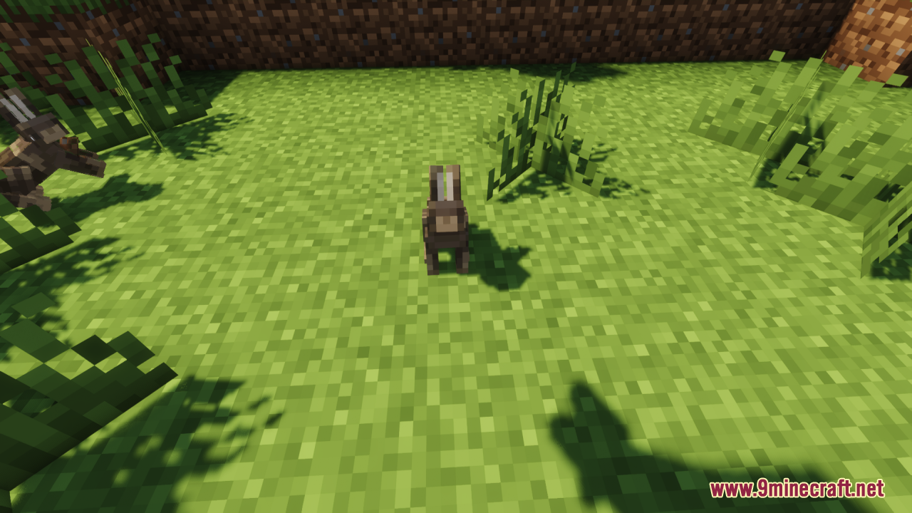 Brown rabbit with Better Bunnies custom model sitting on grass