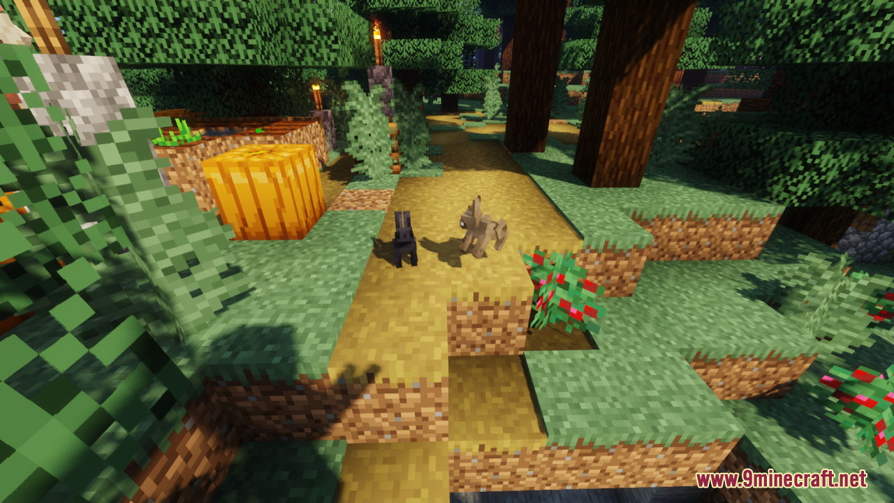 Black and brown rabbits hopping on dirt path near a pumpkin
