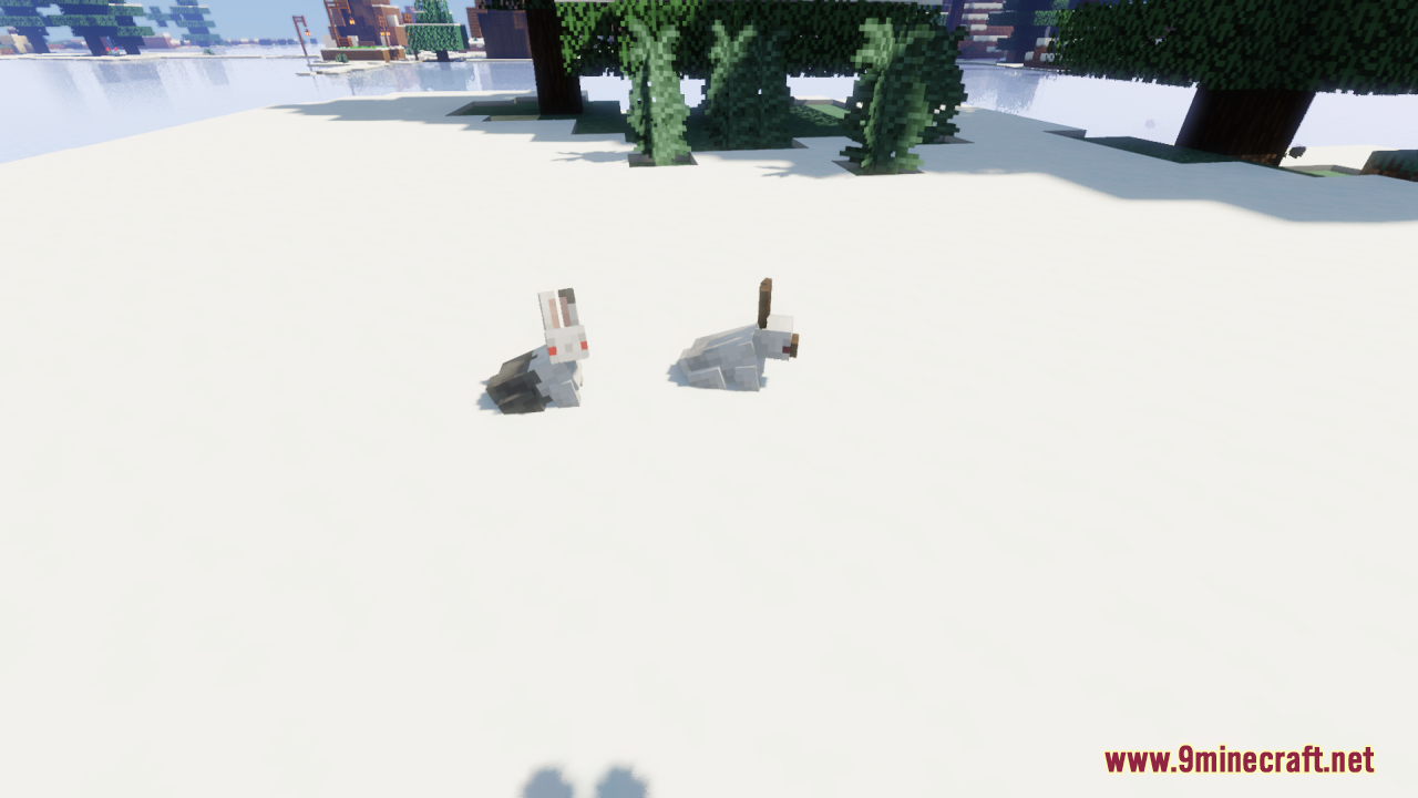 White and grey custom rabbits sitting on snow in winter biome