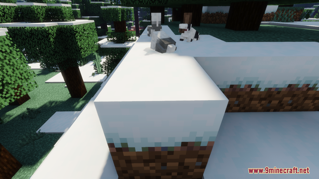 Different colored rabbits sitting on snow blocks in a winter forest