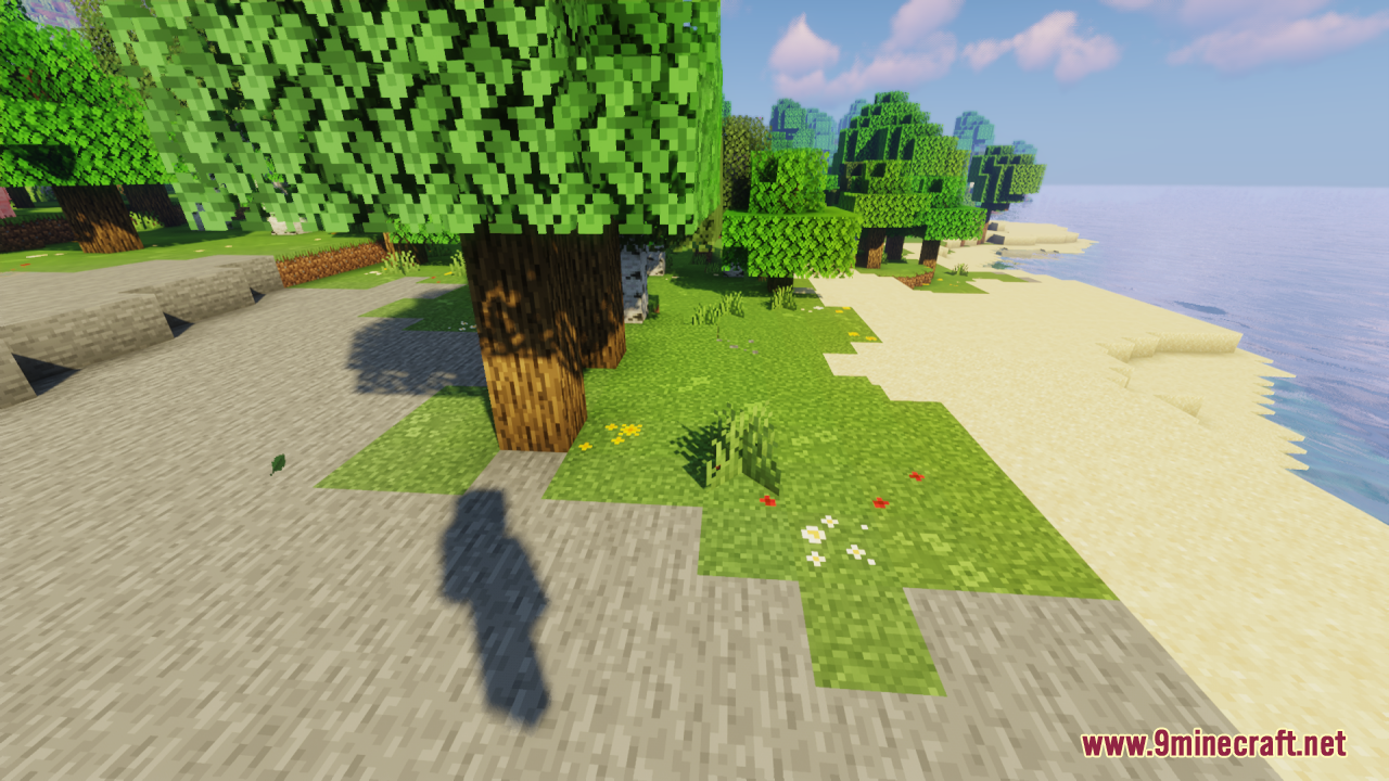 Grass blocks with tiny flower details bordering a sandy beach