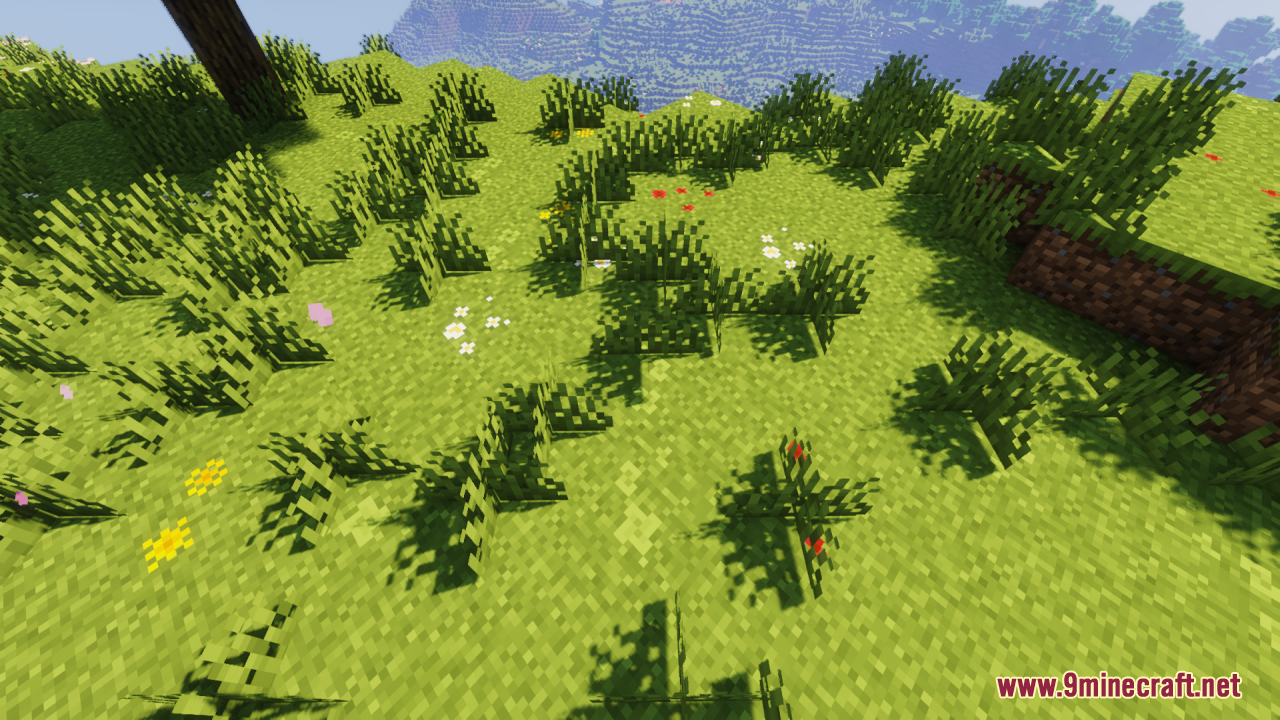 Grassy hill showing different shades of green and tiny flower details