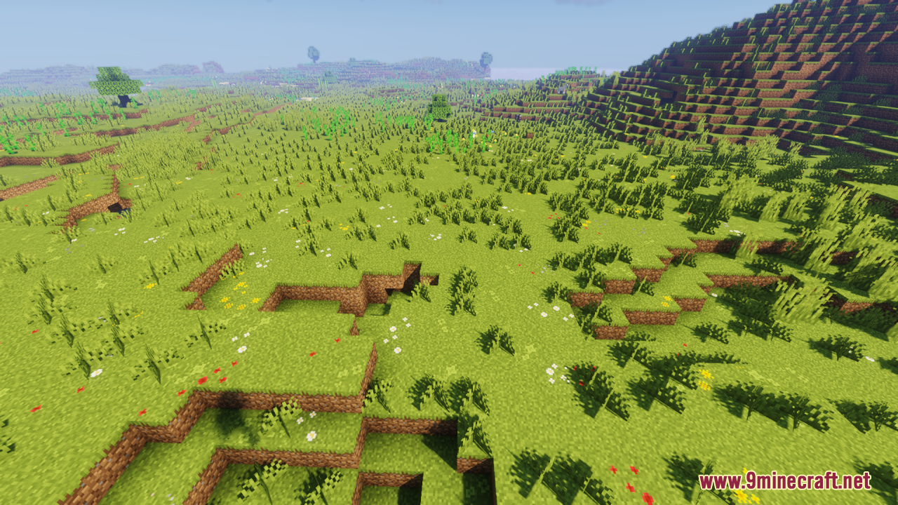 Rolling grassy hills displaying different shades of green ground textures