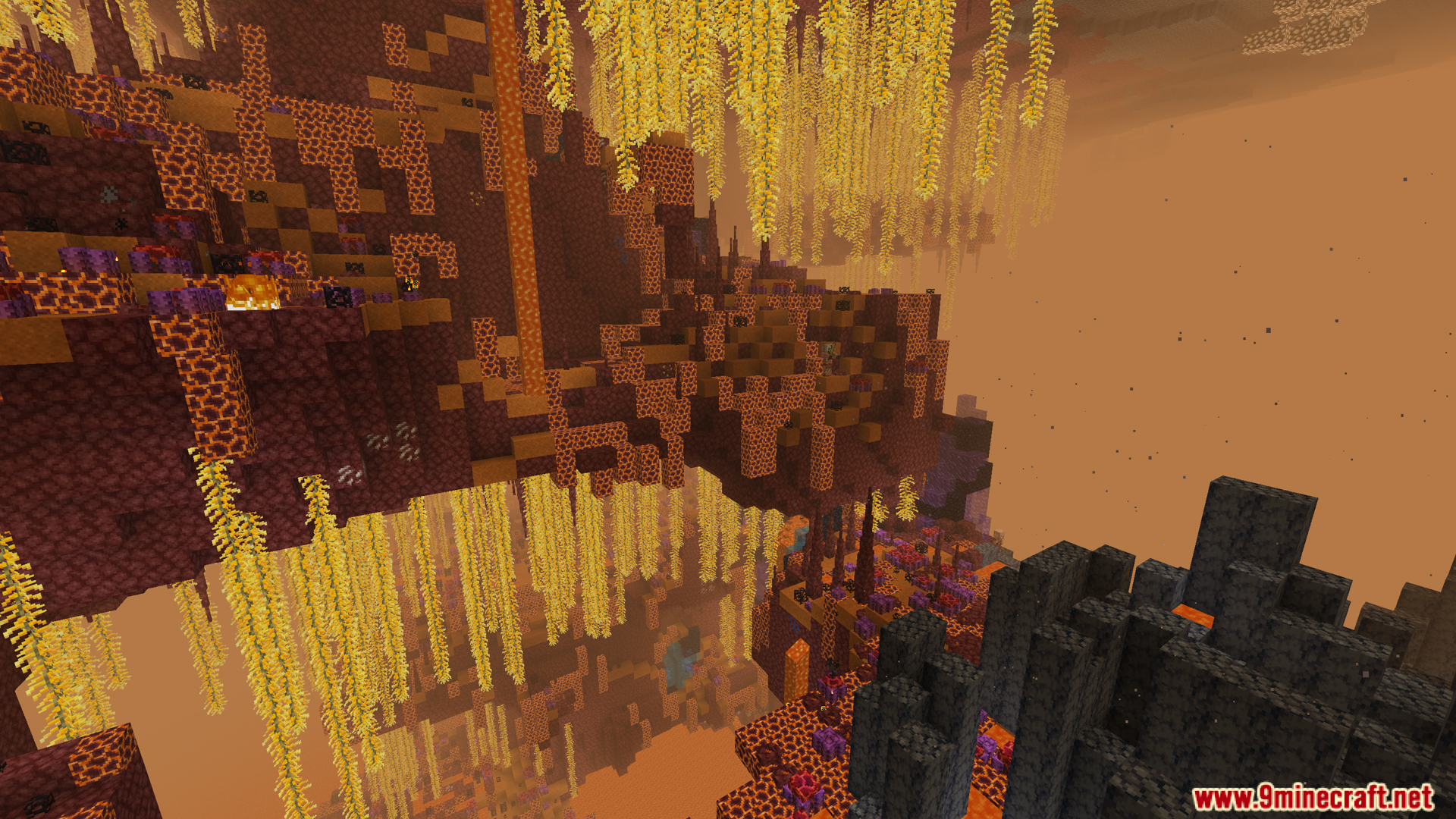 Floating Nether islands with long golden hanging vines