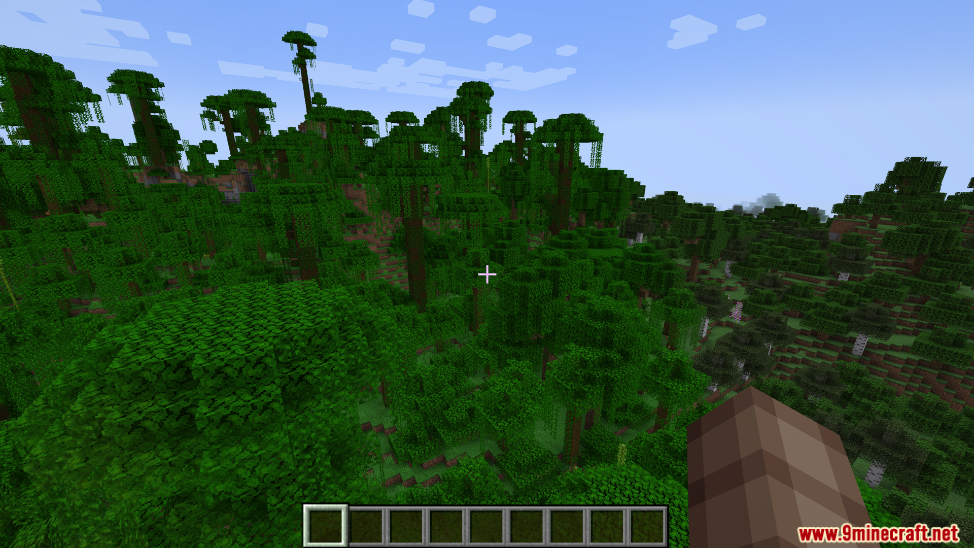 A vast and dense jungle biome with tall trees