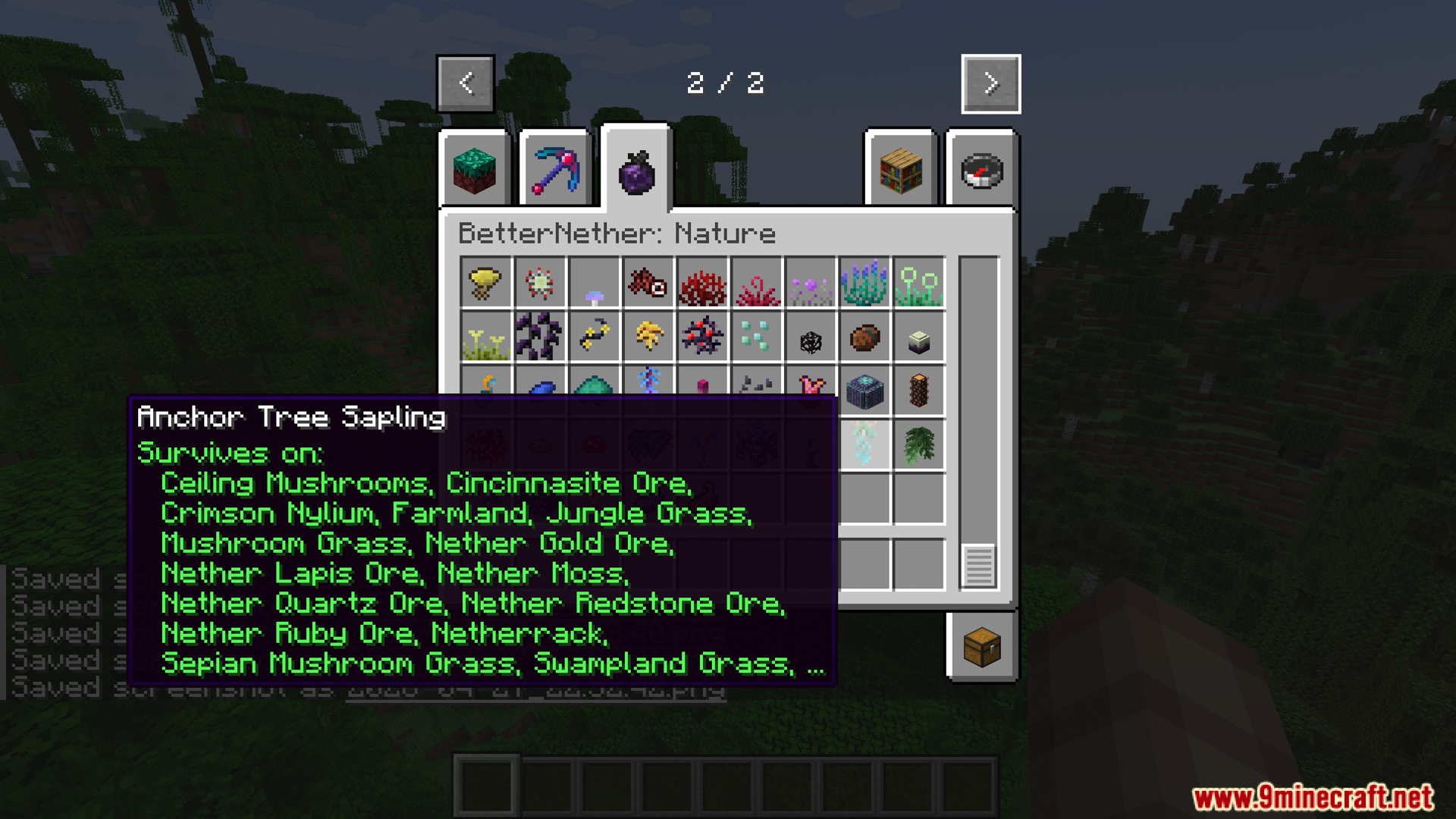 Anchor Tree Sapling tooltip in the BetterNether nature tab