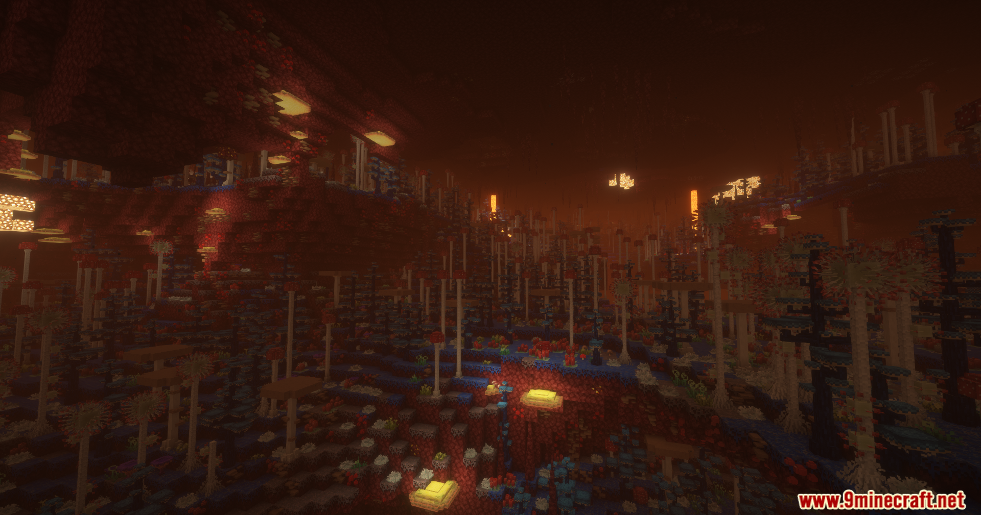 A vast and colorful Nether mushroom forest biome