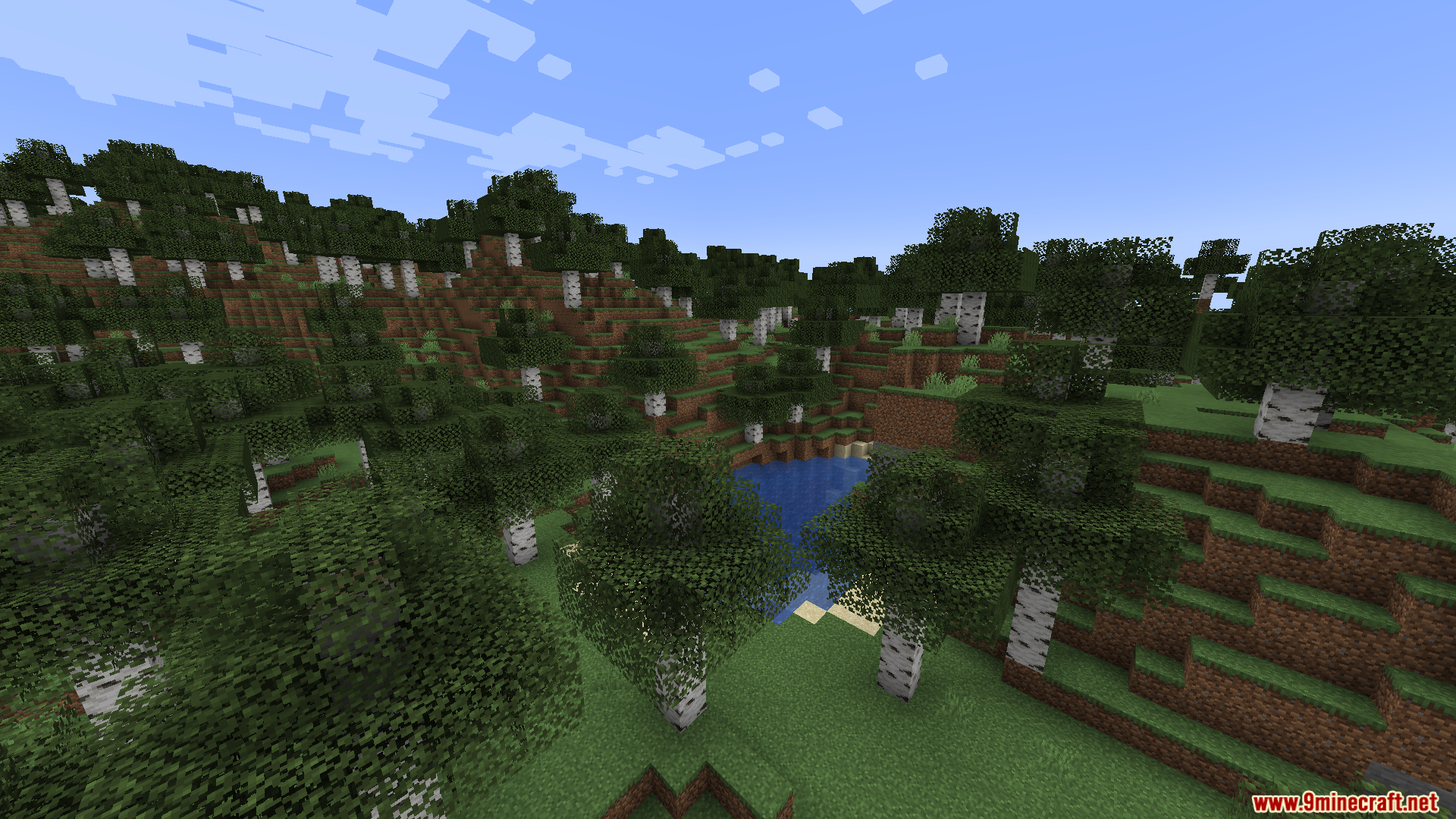 Bewitchment Tweaks Mod Screenshot 9 Player is completely invisible while exploring a birch forest biome