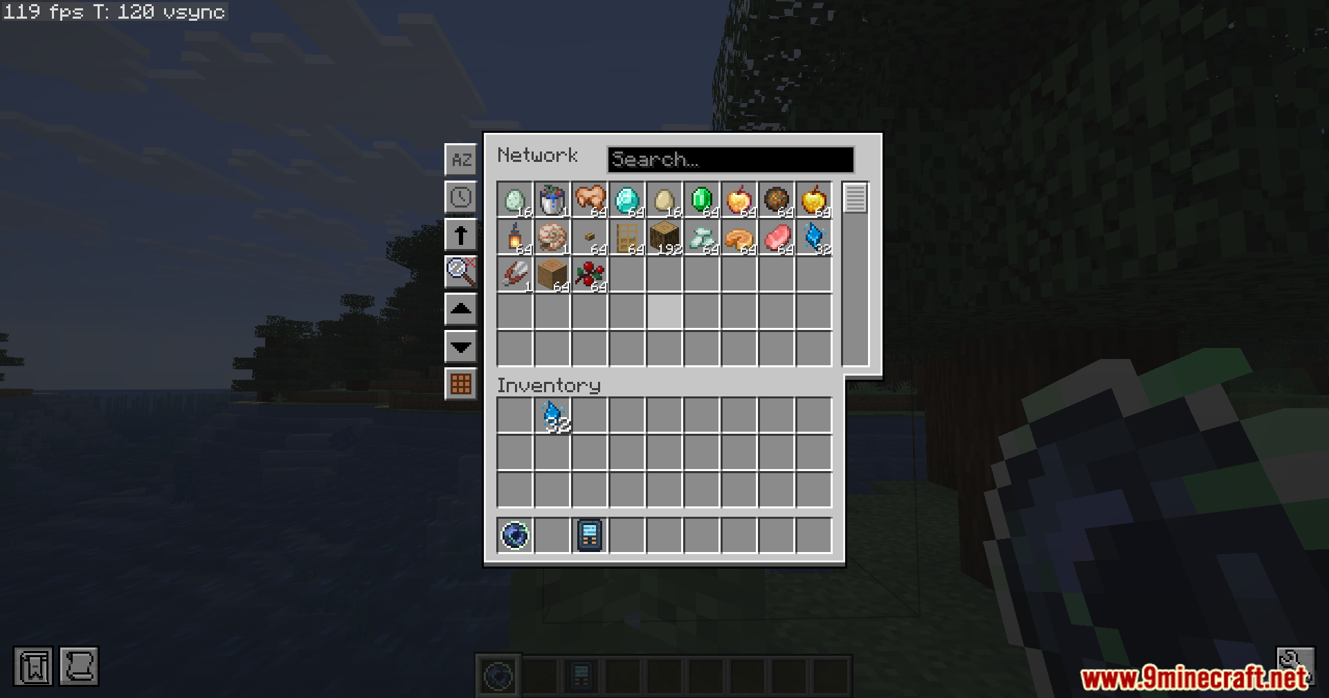 Accessing the massive virtual storage network to view stored items