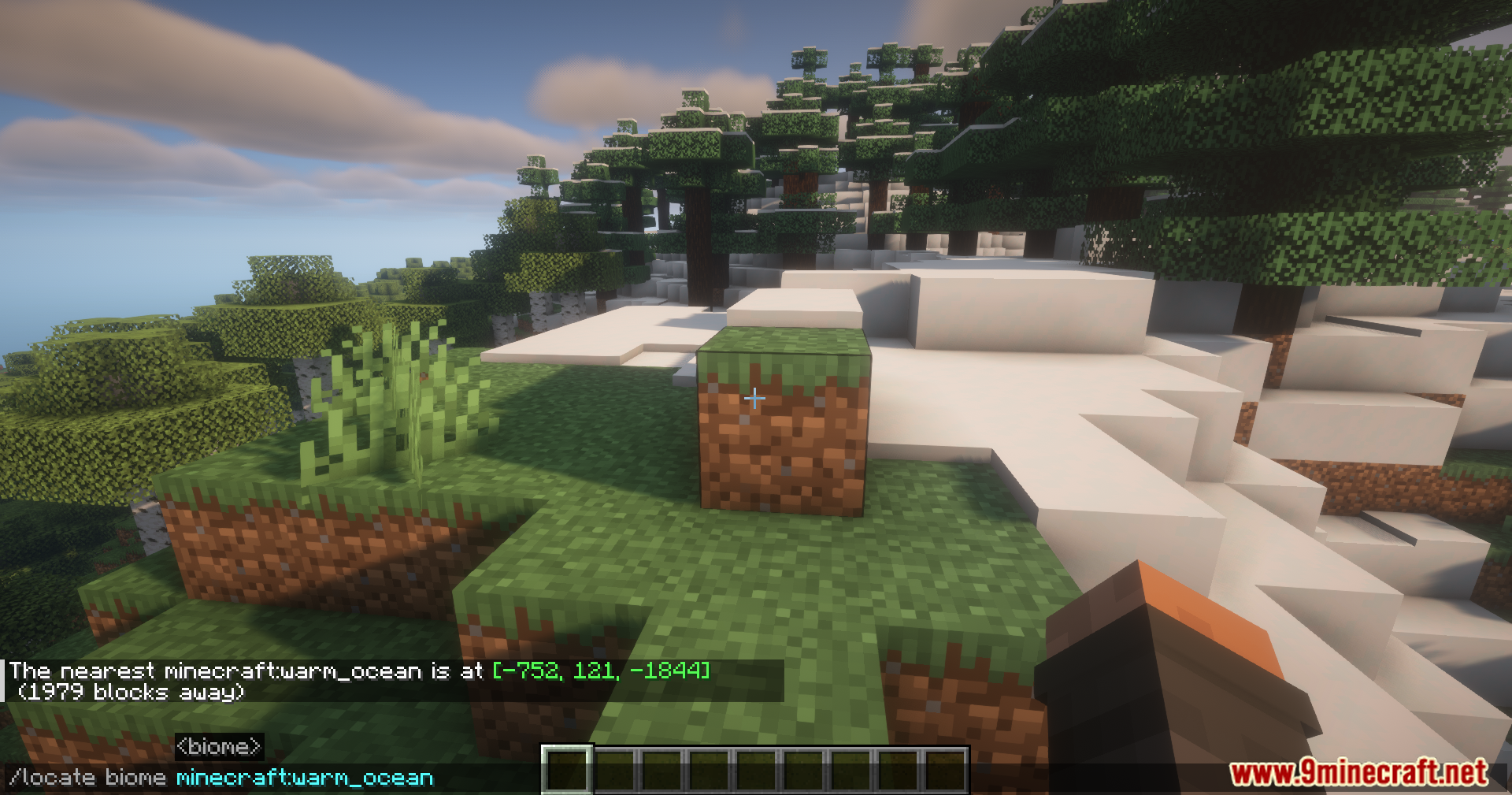 Player using locate command to find a warm ocean biome quickly