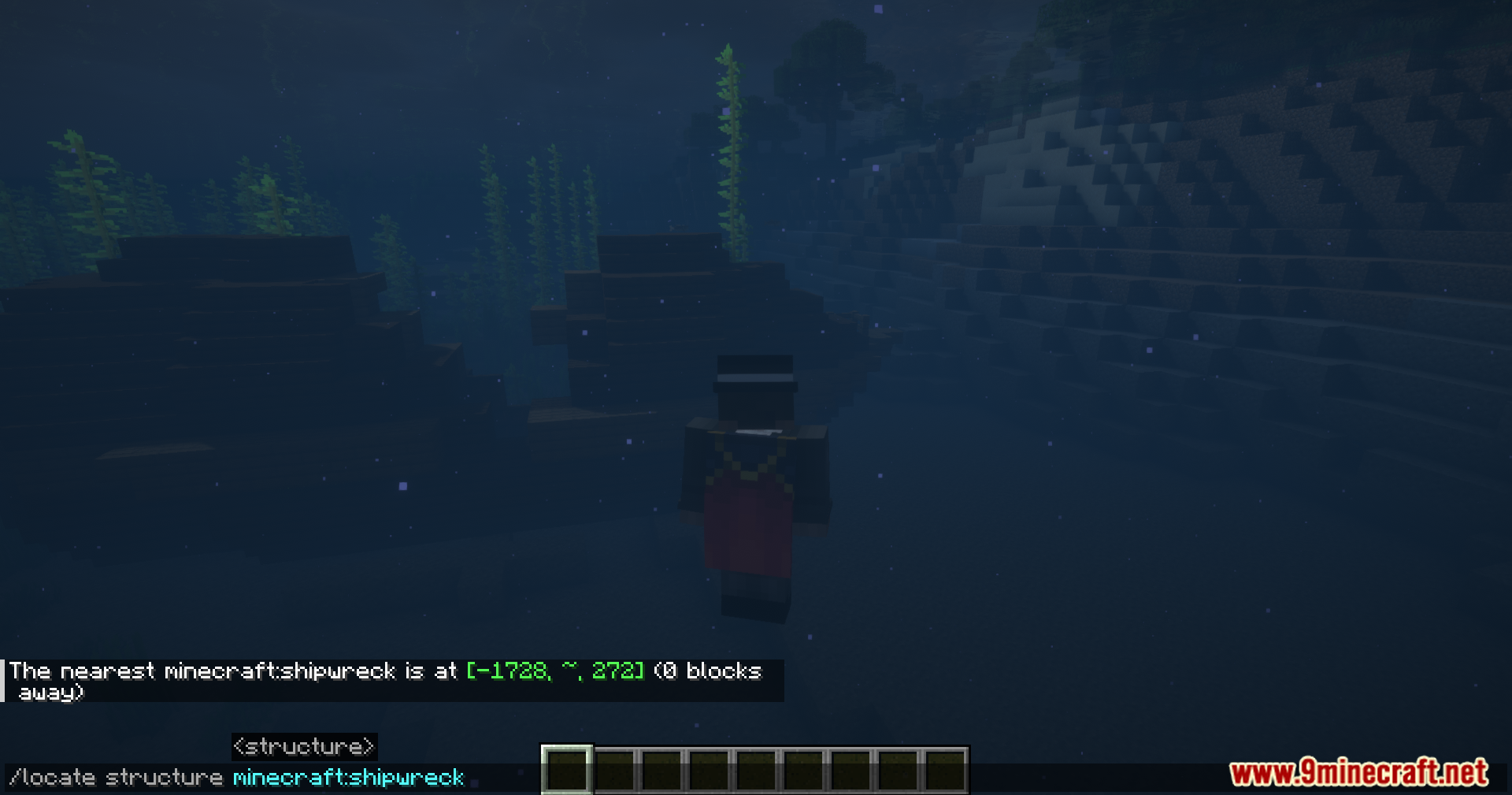 Player flying over a birch forest near the ocean