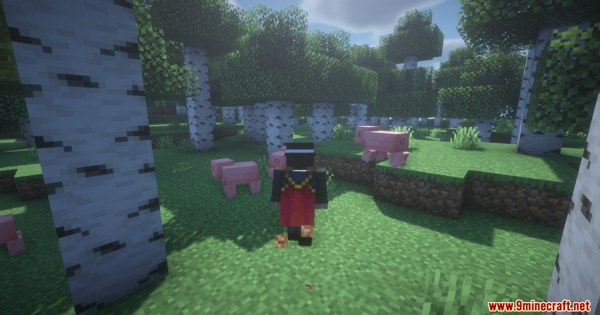 Player standing in a birch forest biome with several pigs nearby