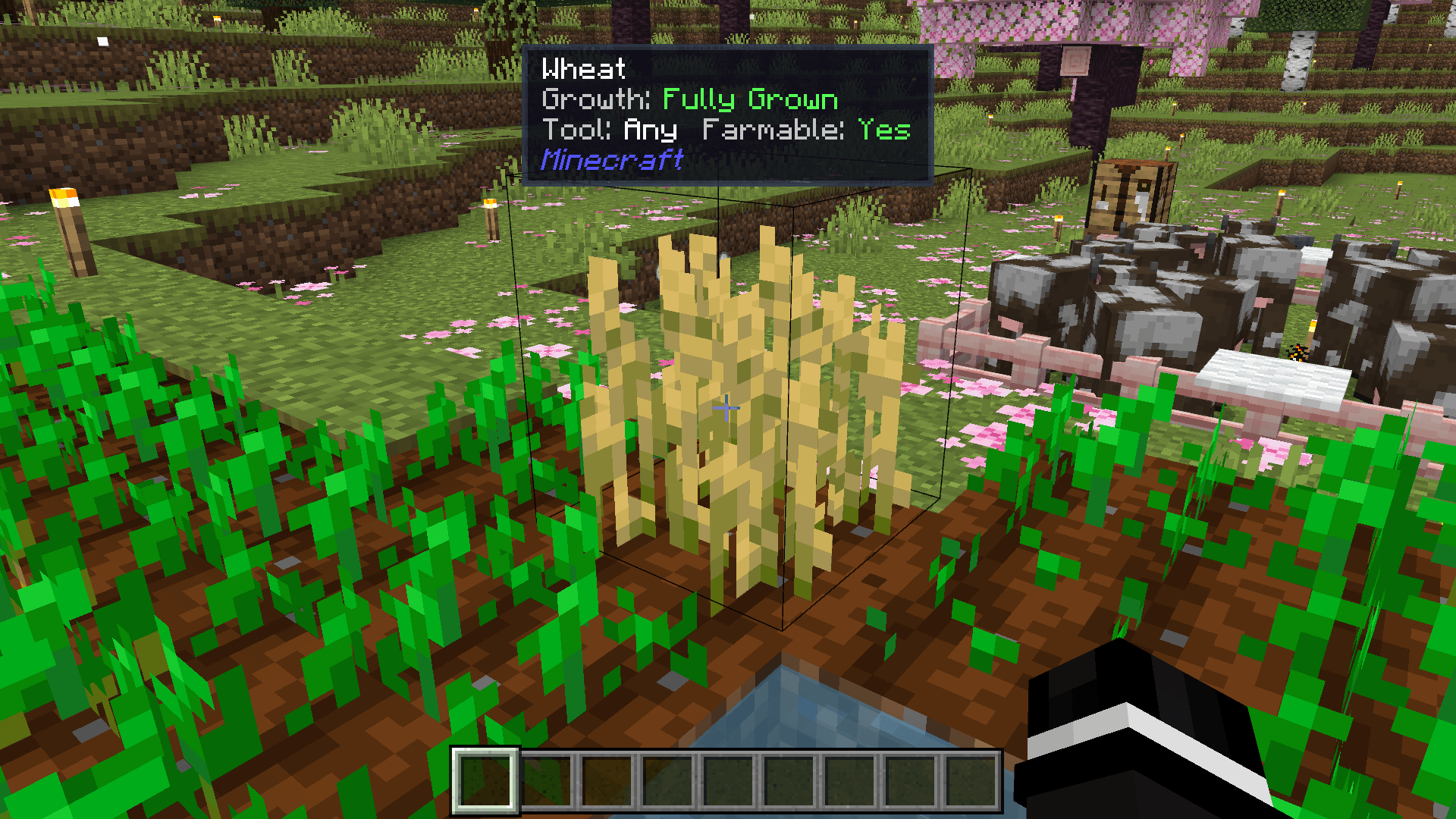 Crop Growth Tracking